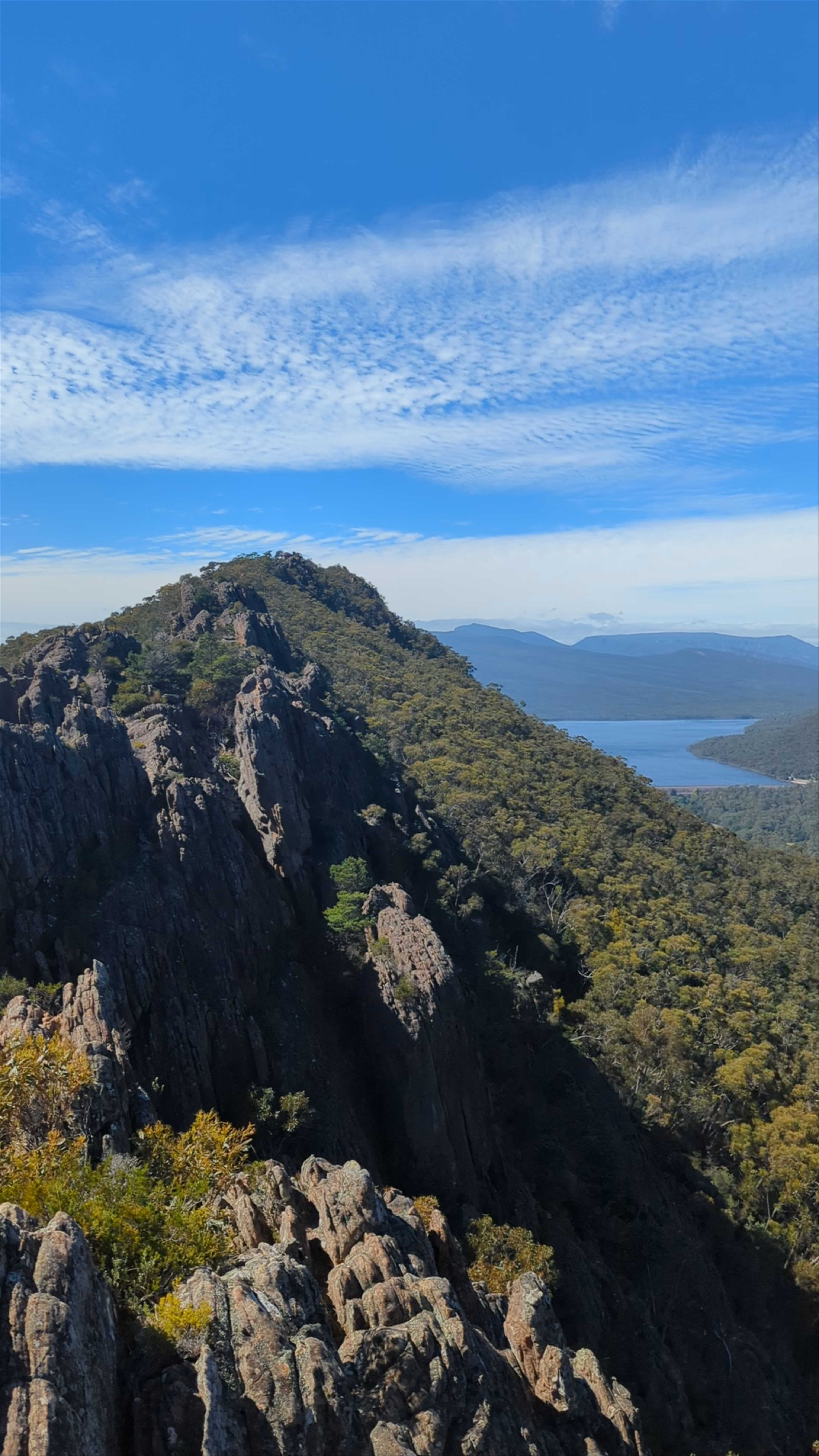 Boronia Peak