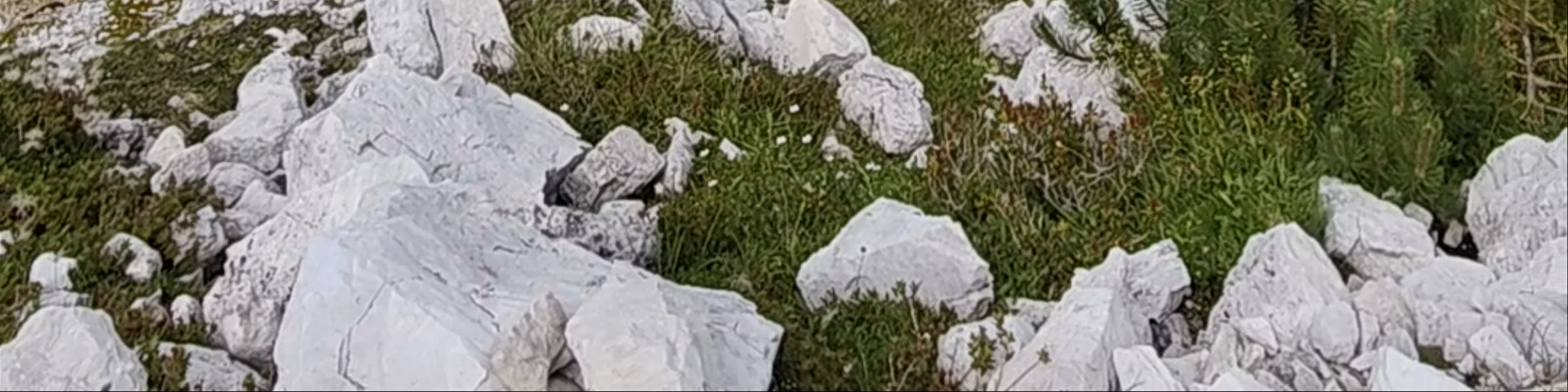 Forcella Giralba