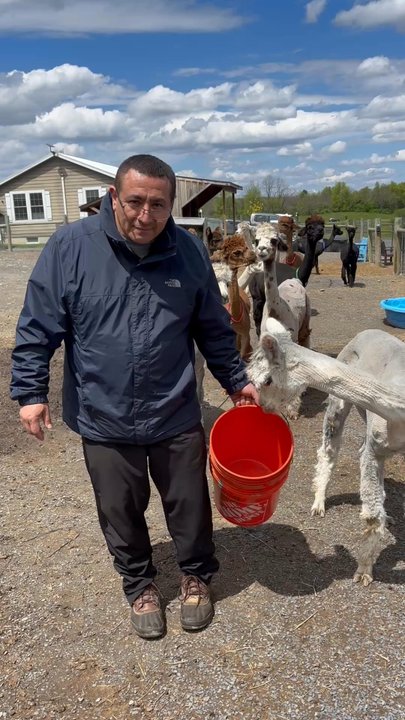 Stagecoach Trails Alpacas - Farms Near Me - Middletown, New York