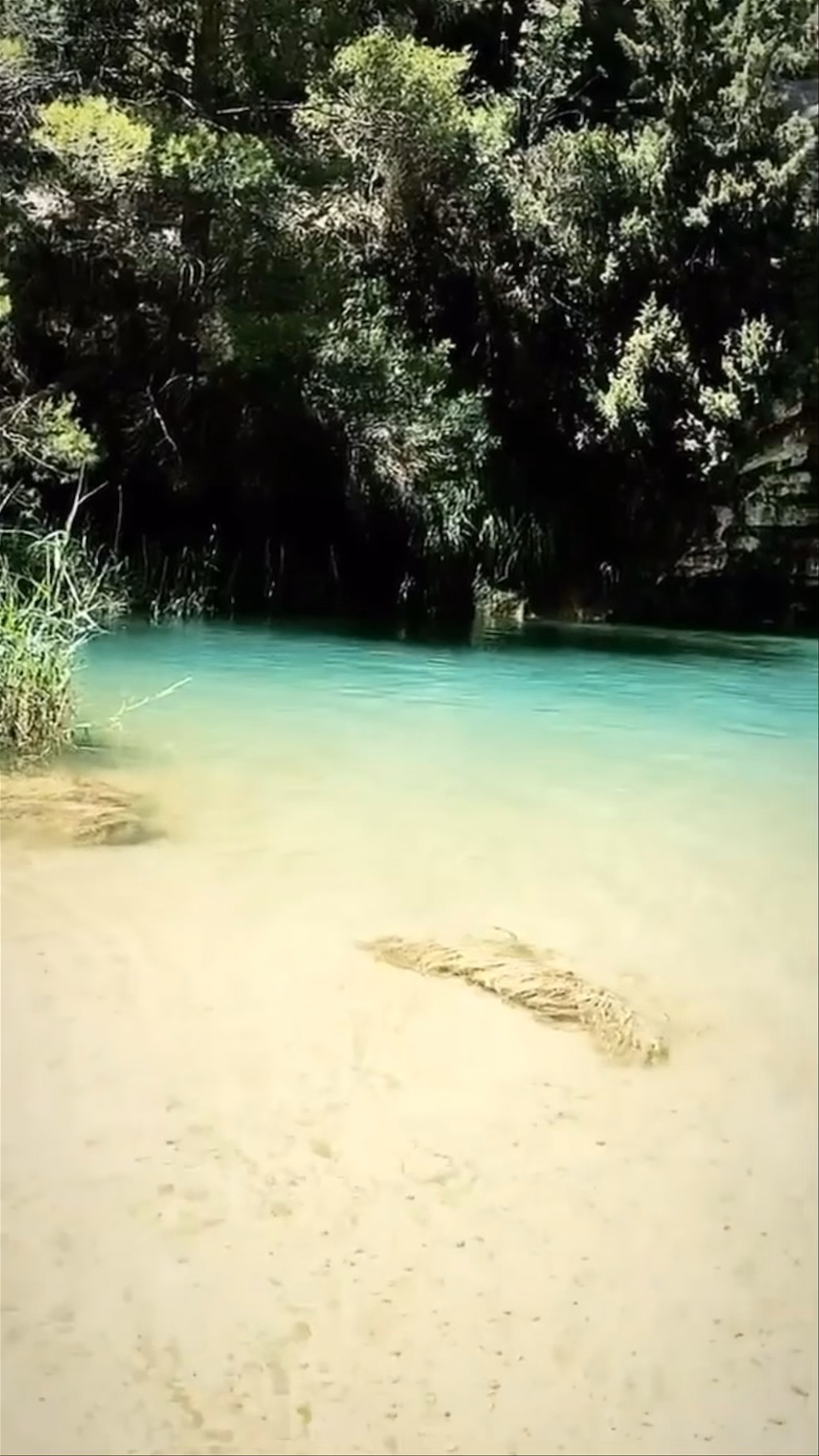 Parque Natural del Alto Tajo