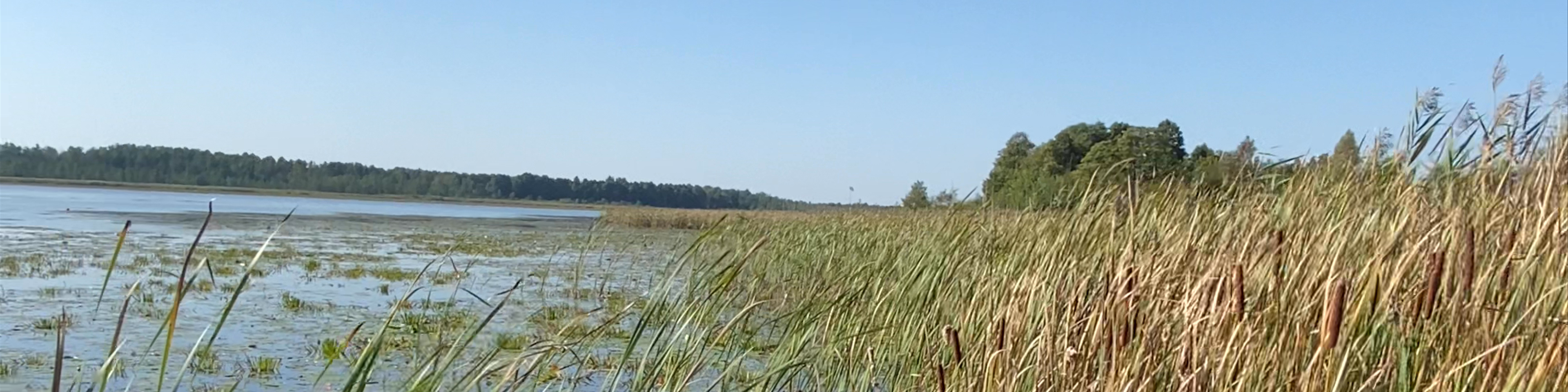 Łęczna