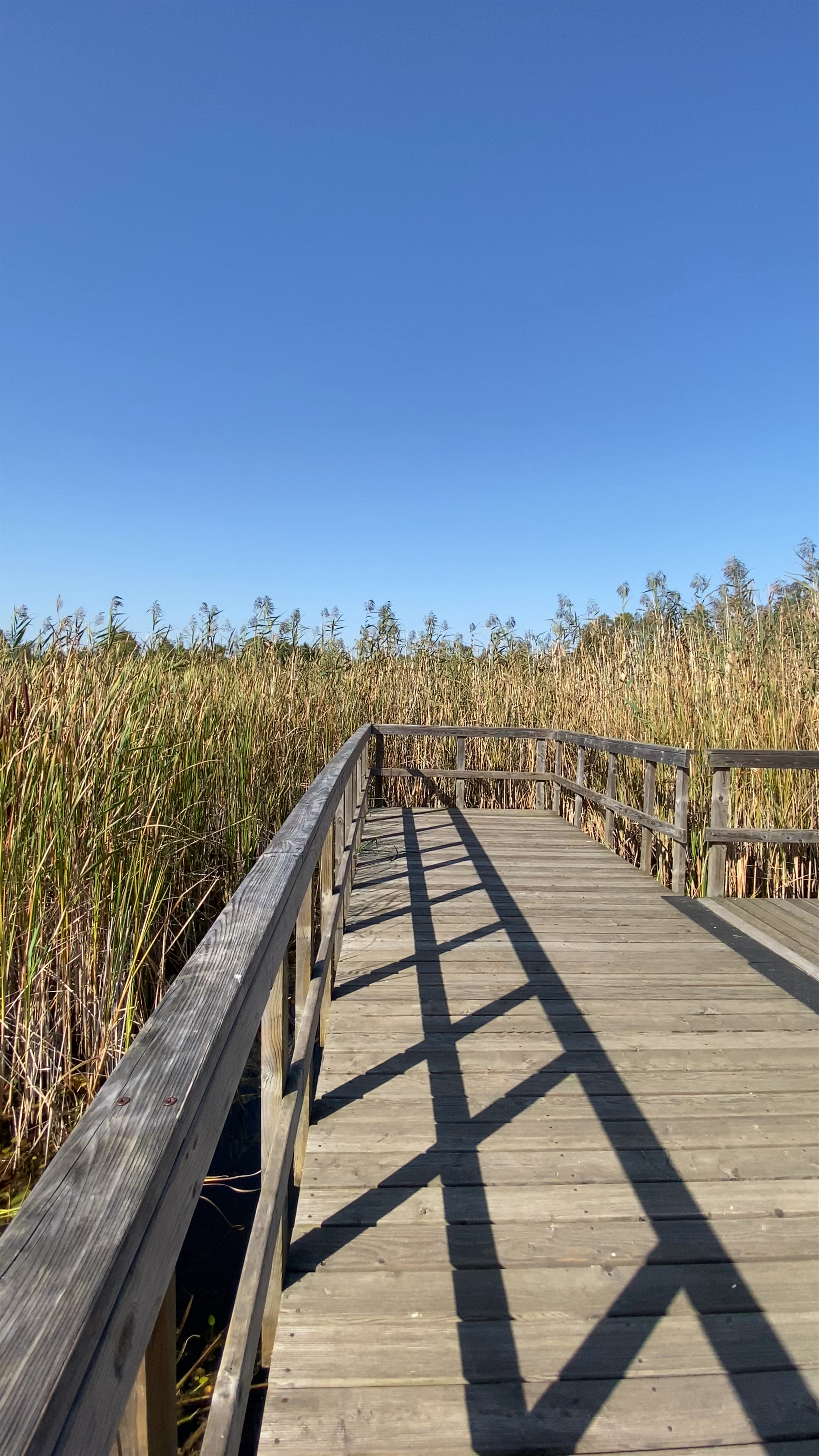 Ścieżka przyrodnicza "Spławy"