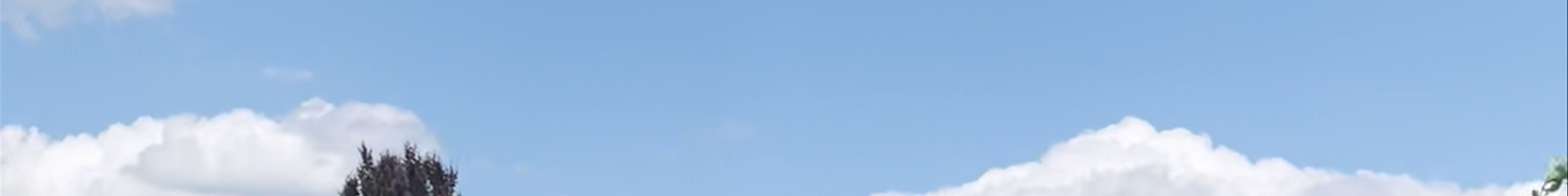 Tours & experiences in Worcester