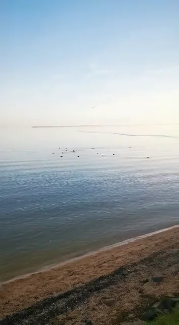 Volendam