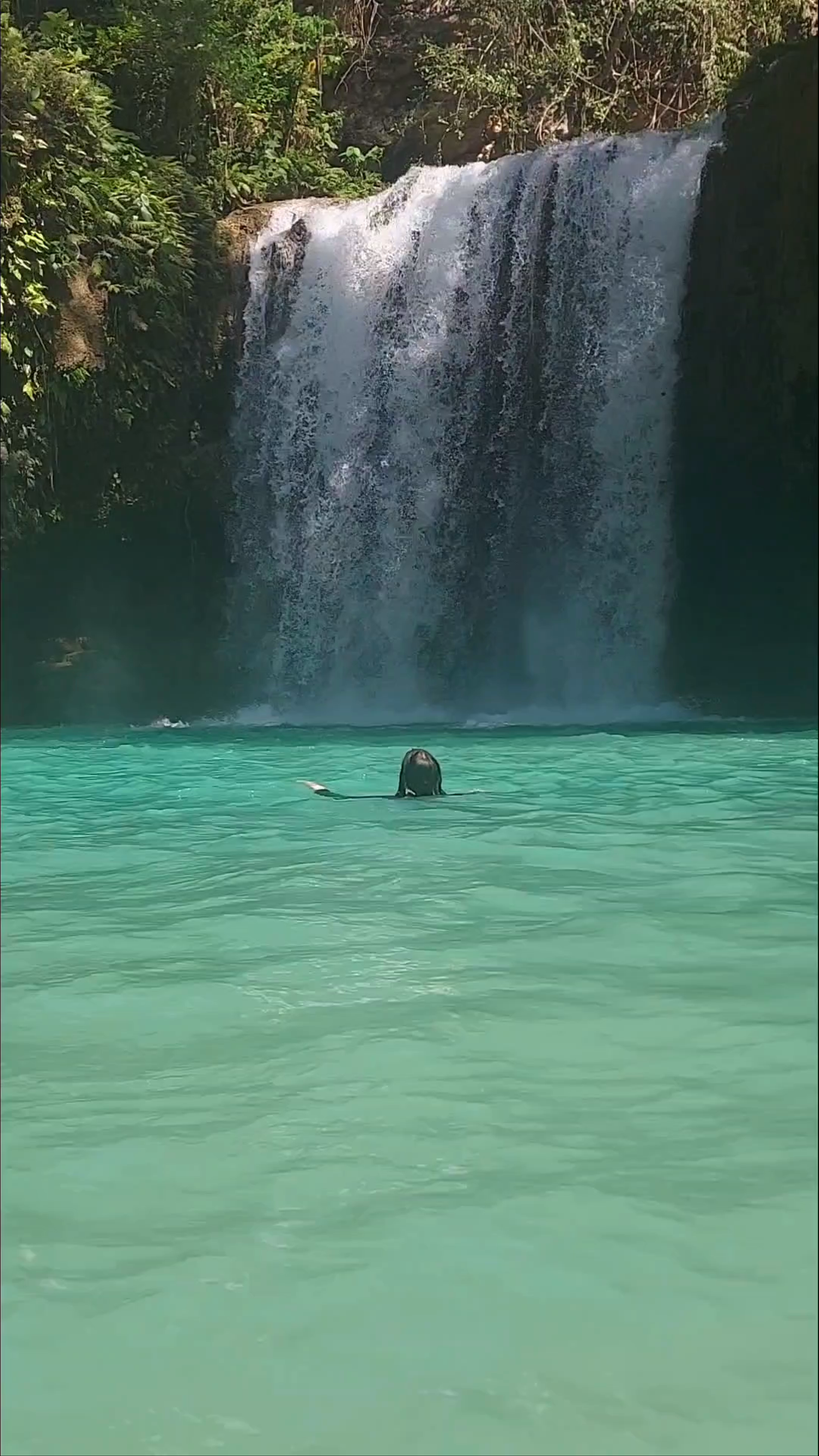 Kawasan Falls Swimming Adventure in Cebu, Philippines