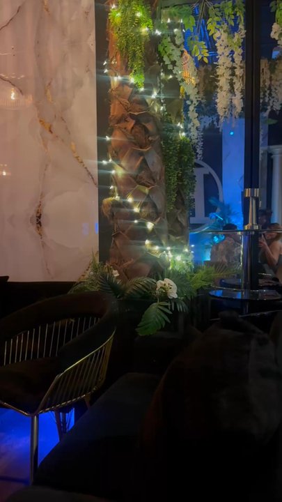 Hiyde - Jazz & Blues Near Me - Lauderhill, Florida