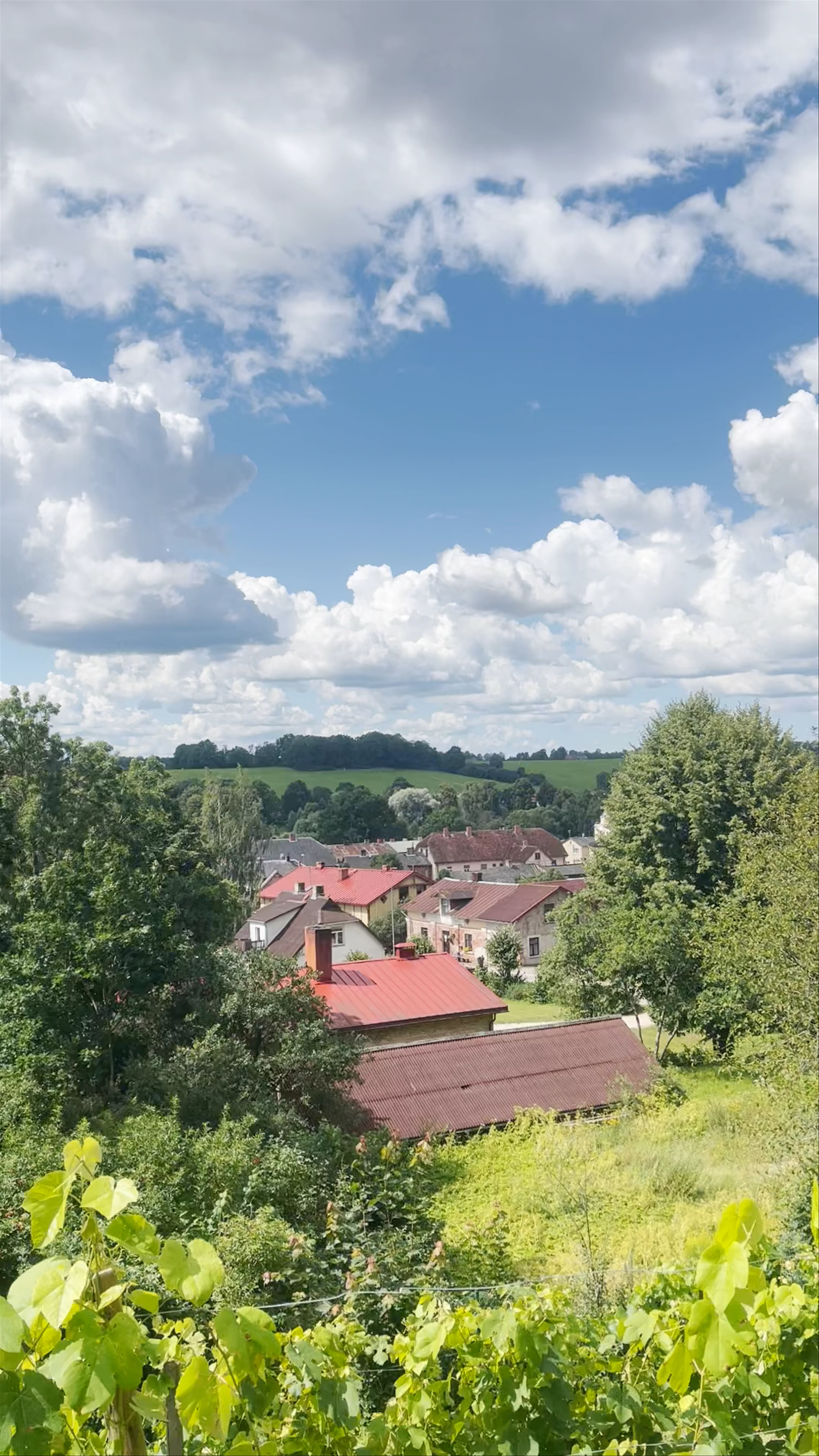 Sabiles Vīna kalns, Sabile, Sabiles pilsēta, Talsi Municipality, Latvia
