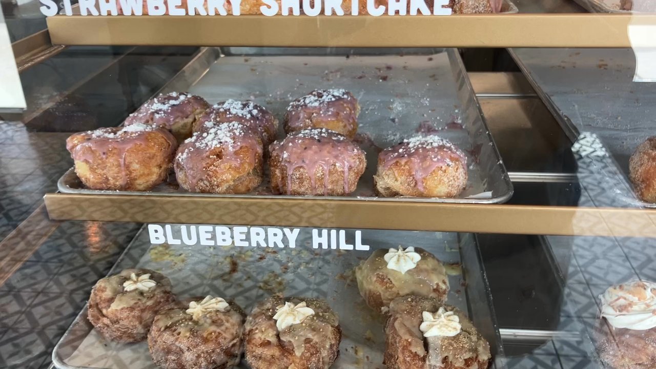 Parlor Doughnuts - Donuts Near Me - St. Augustine, Florida