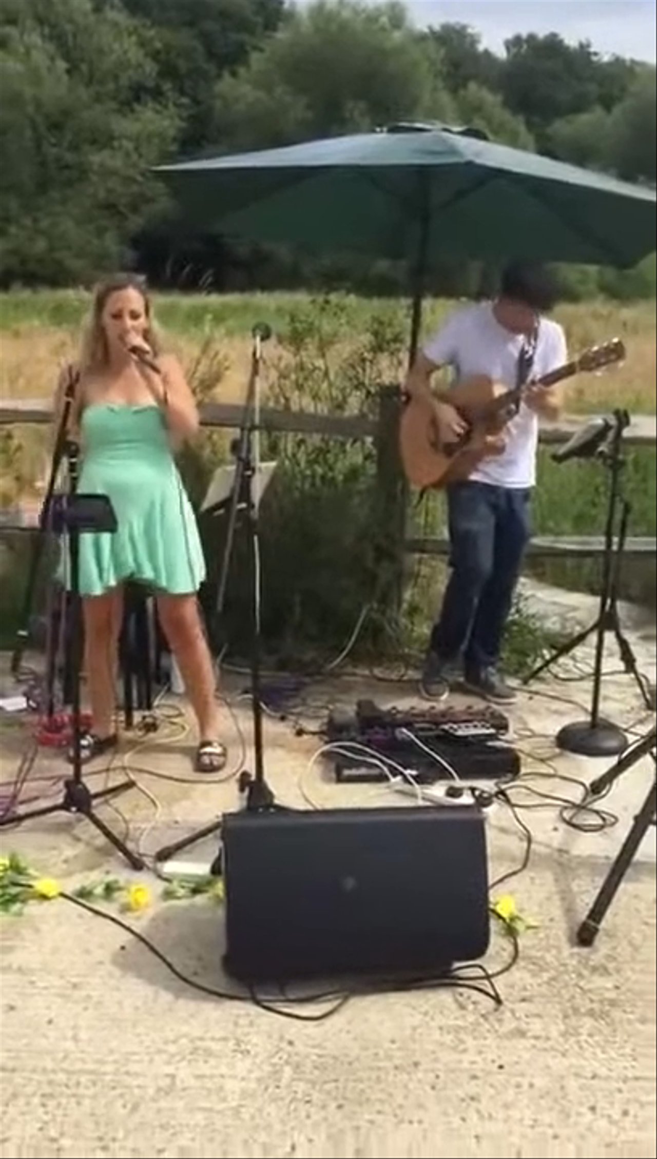 The Tonics @ Frensham Brewery - video