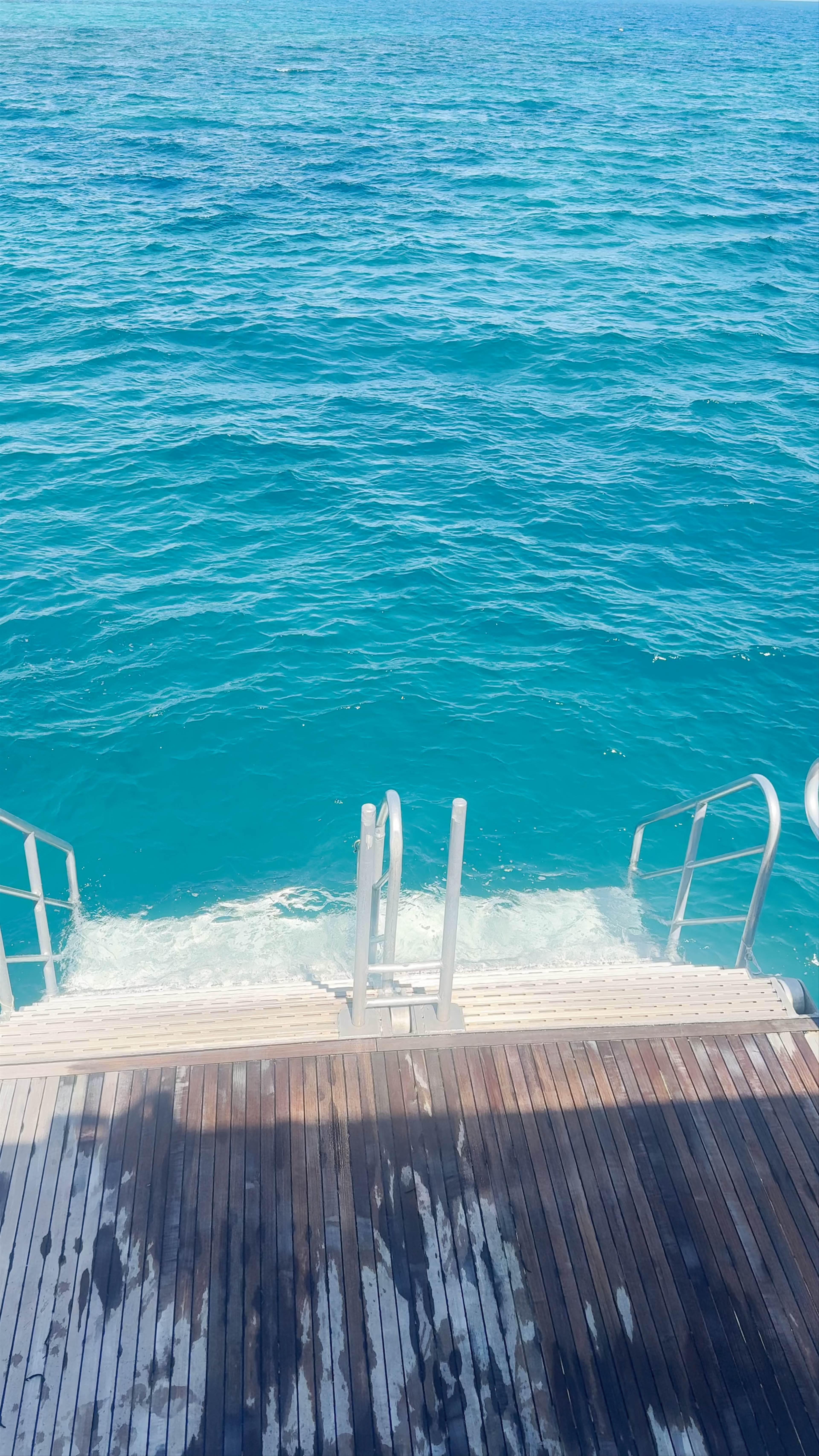 Serene Ocean Dive at Michaelmas and Apollo Cays National Park, Queensland
