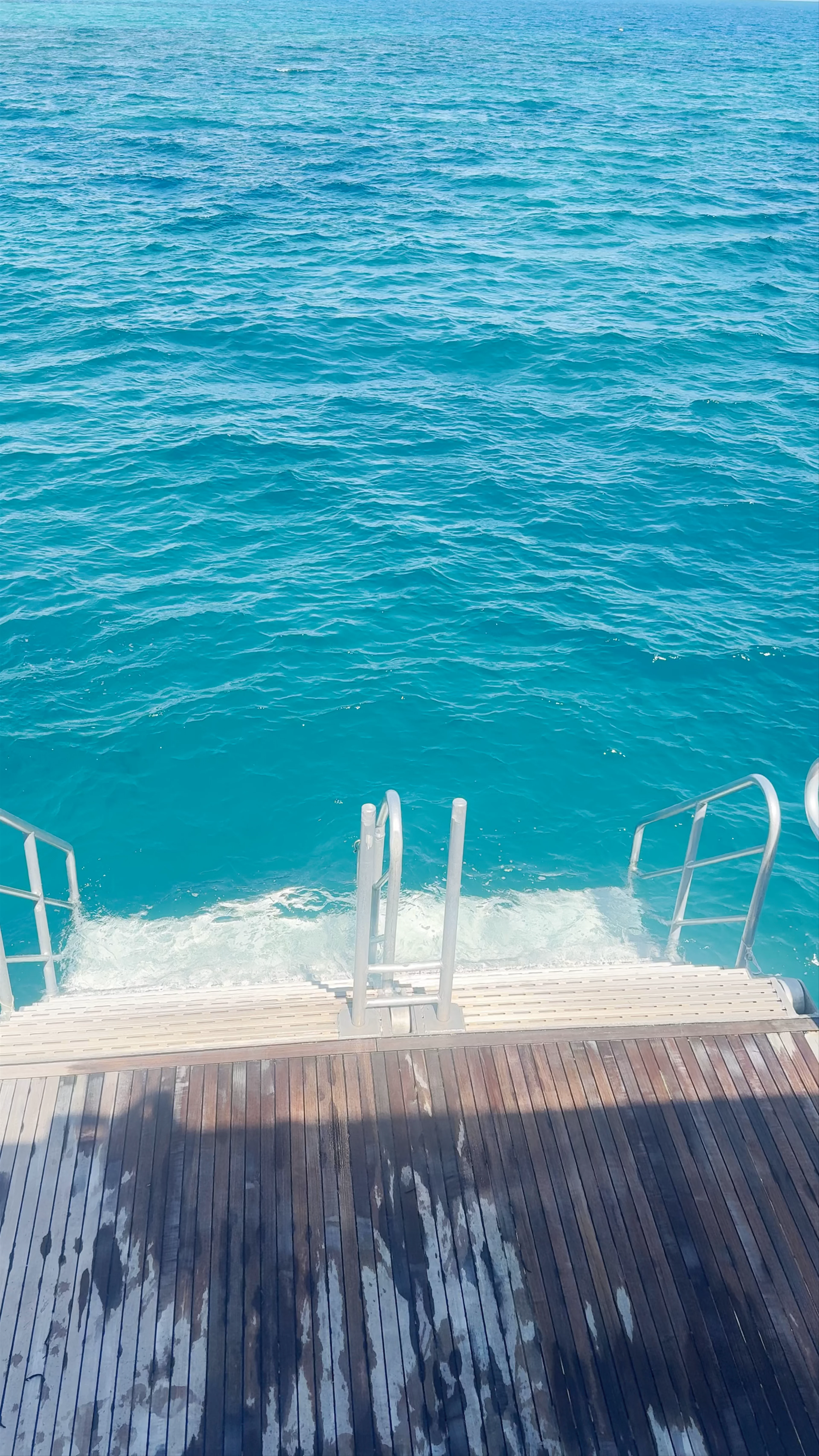 Michaelmas and Apollo Cays National Park