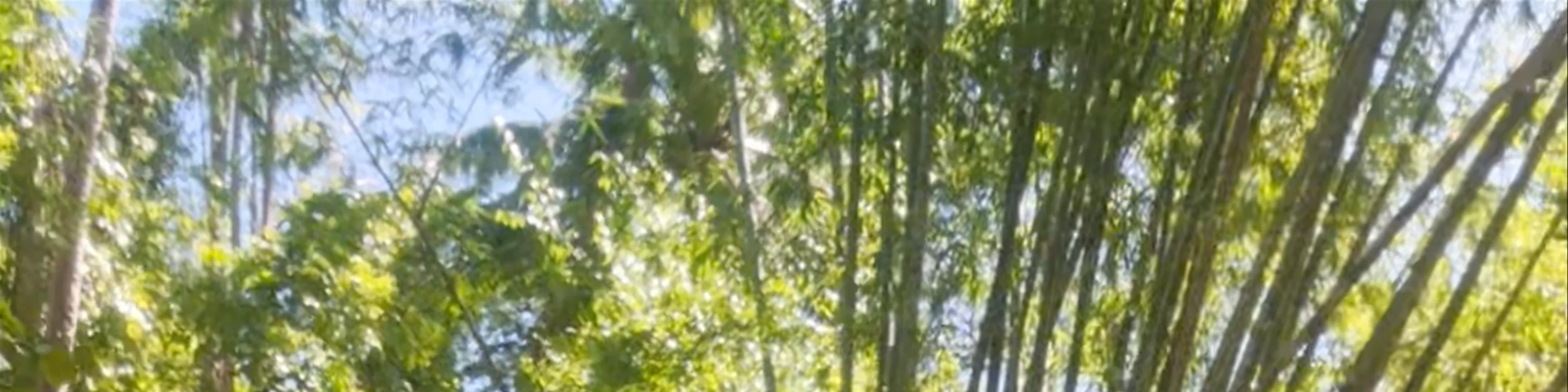 Cambugahay Falls