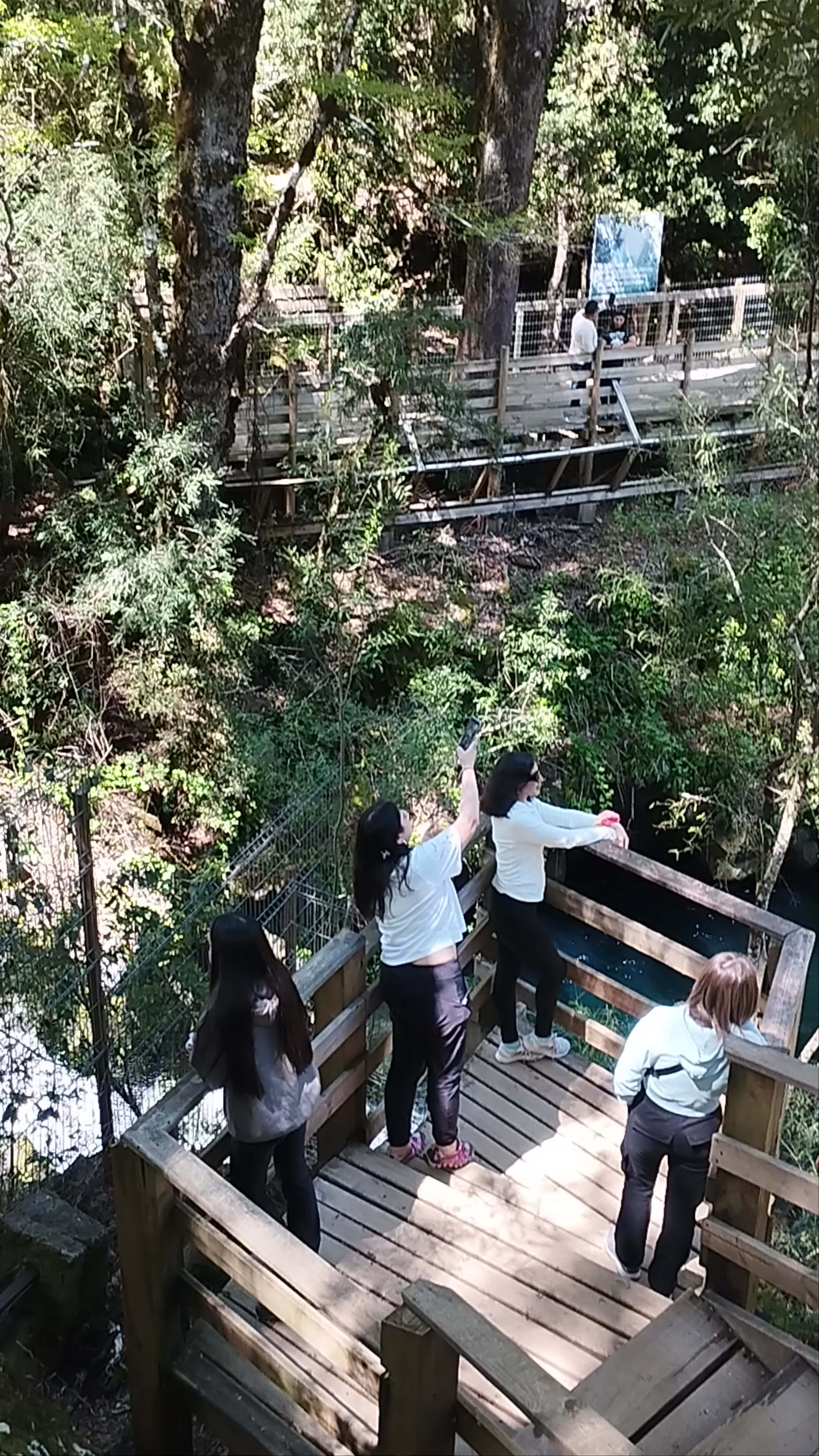 Los Ojos del Caburgua y Laguna Azul - Acceso Ojos del Caburgua
