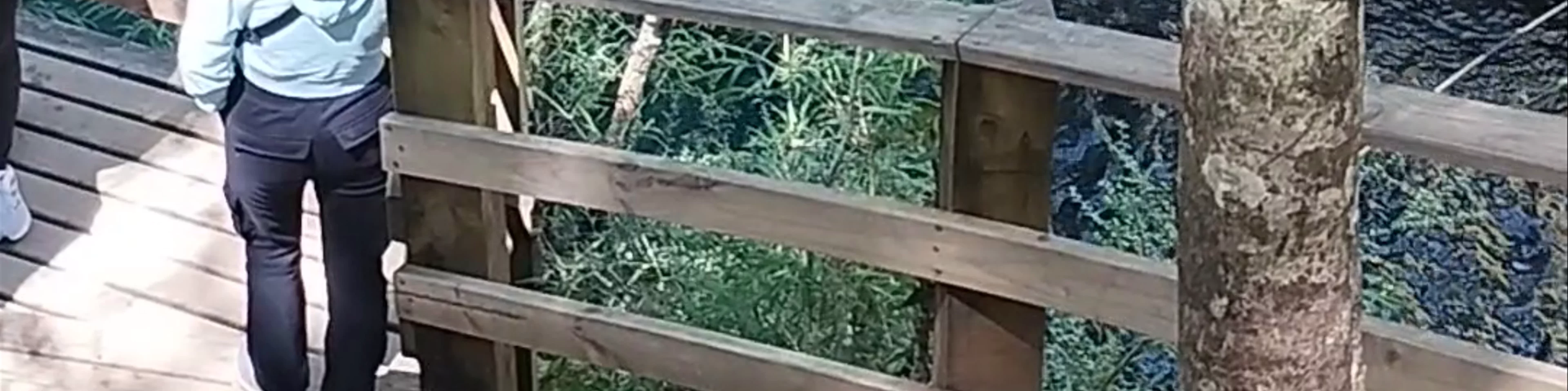 Los Ojos del Caburgua y Laguna Azul - Acceso Ojos del Caburgua