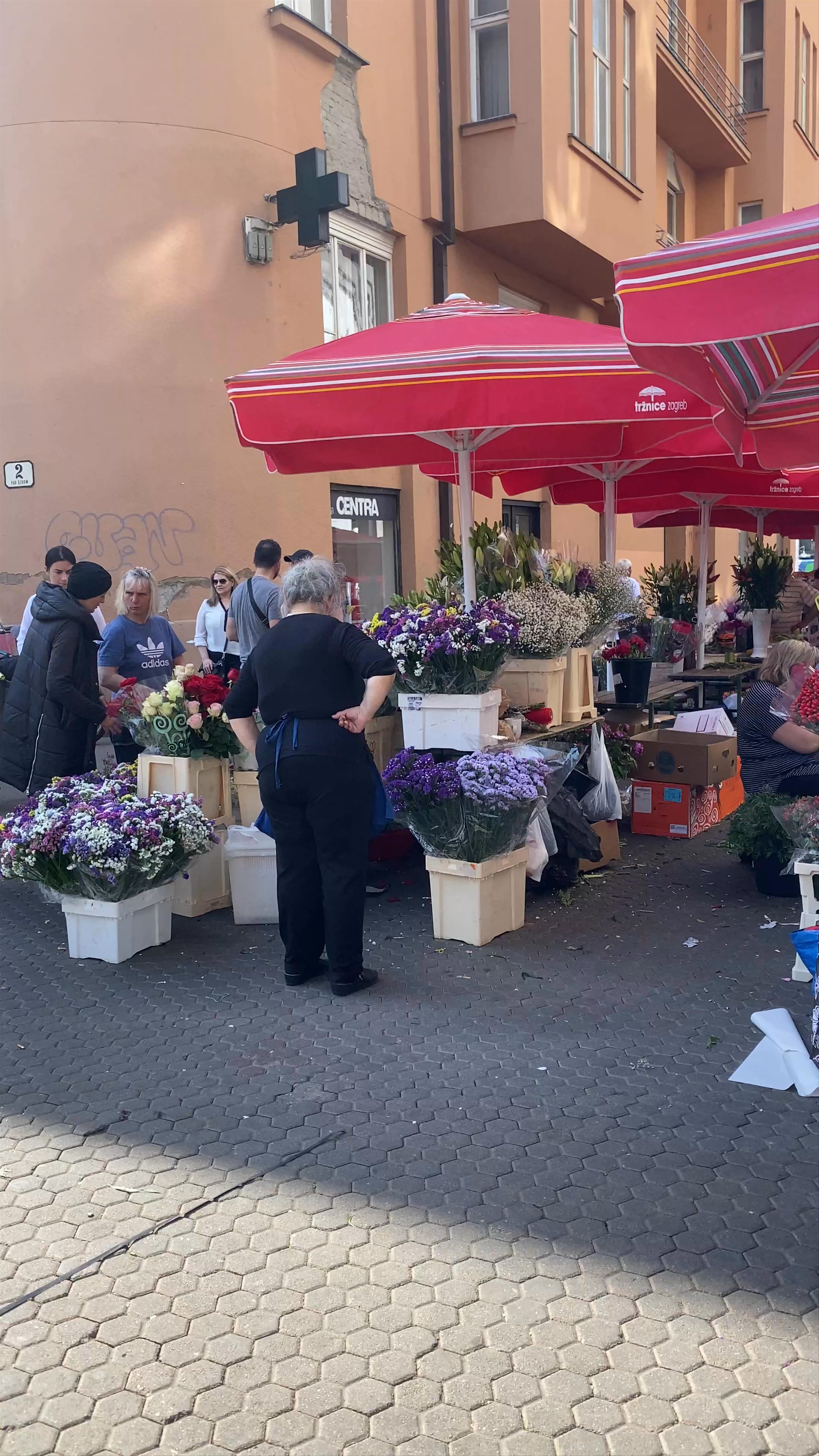 Market Dolac