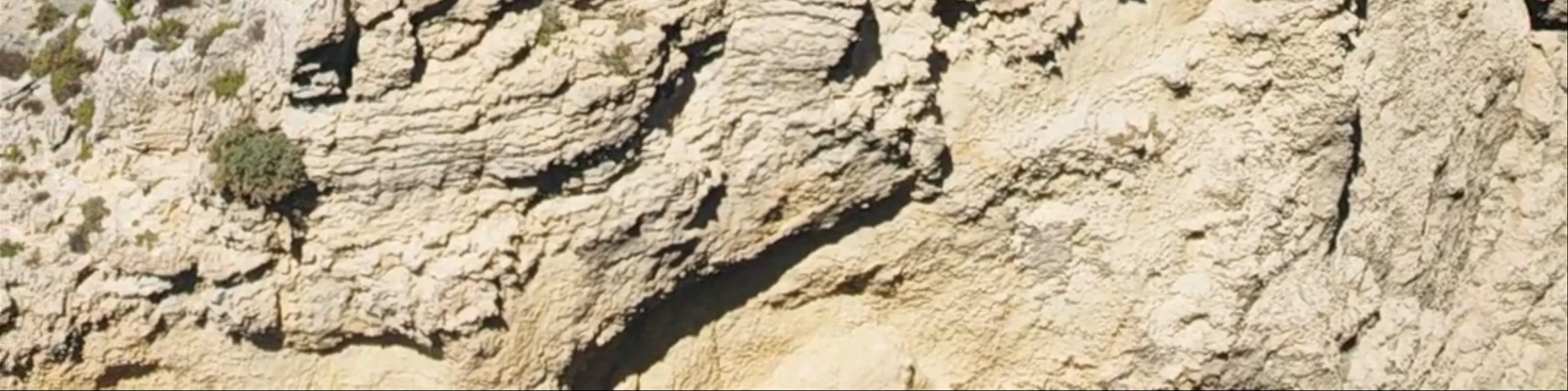 L-Iskoll ta' Taħt il-Mazz