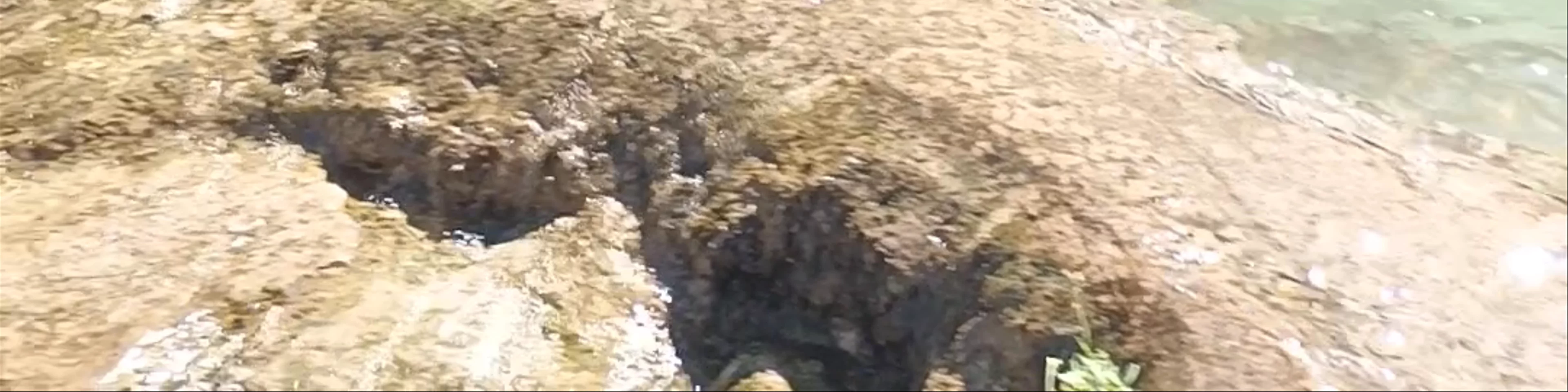 Charco de las Canales (piscina natural)