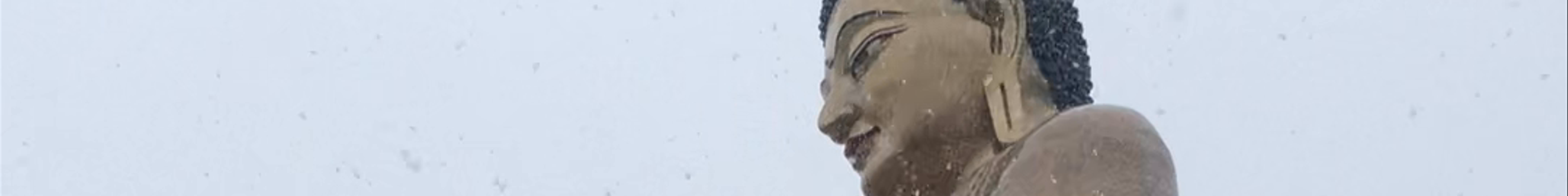 Tours & experiences in Thimphu