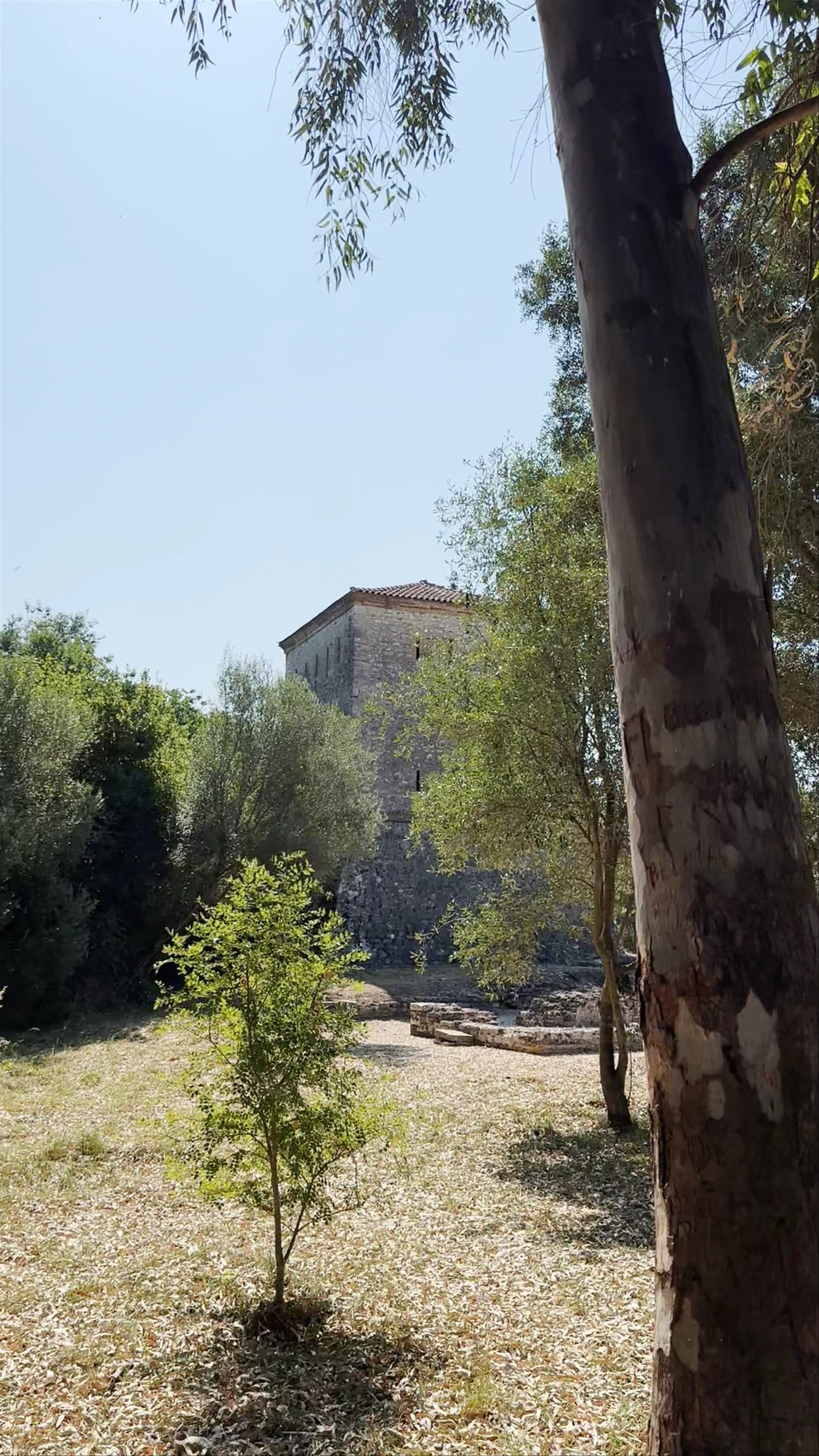 Venetian Tower