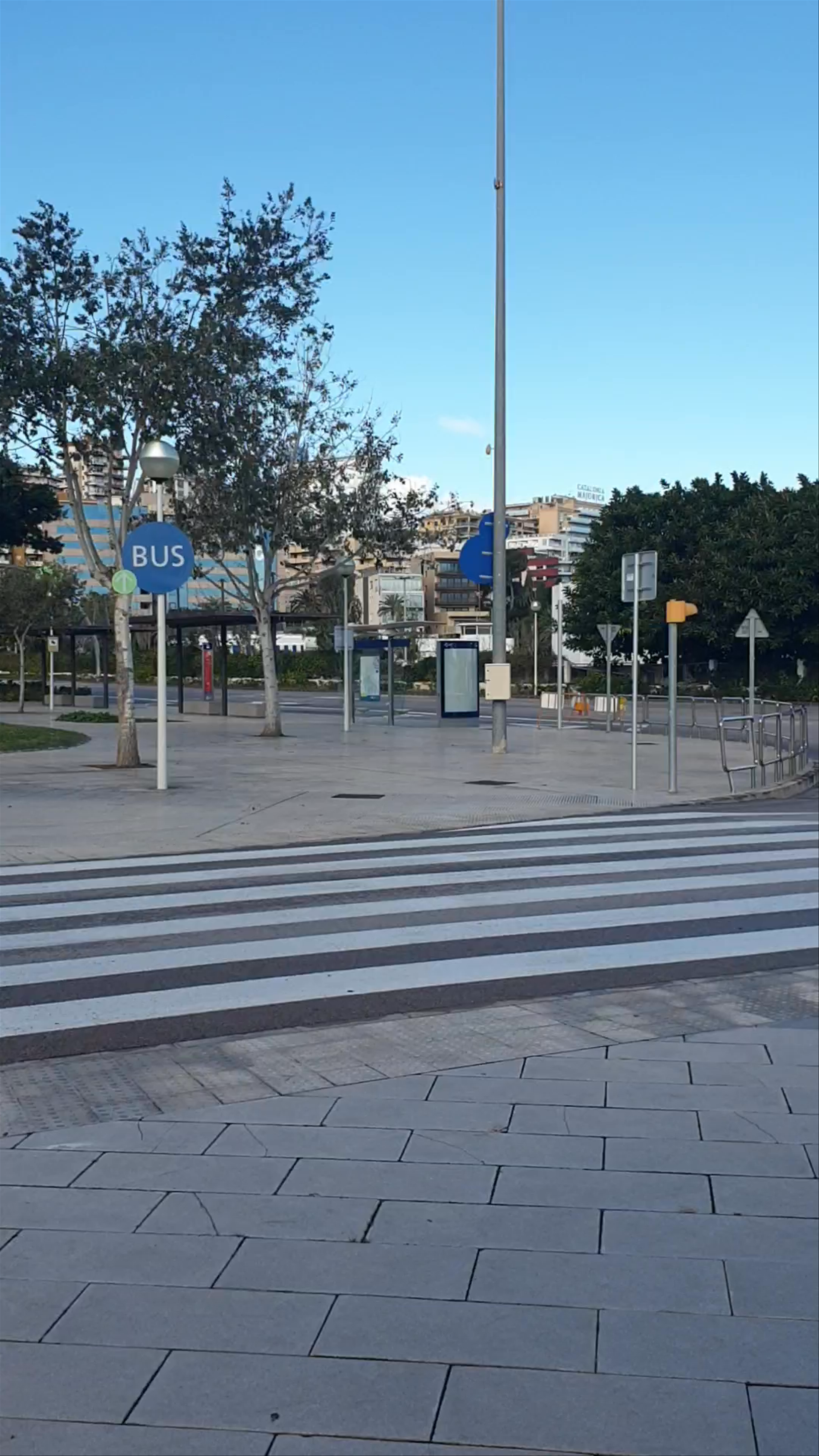 Port de Palma de Mallorca: A Serene Urban Stroll