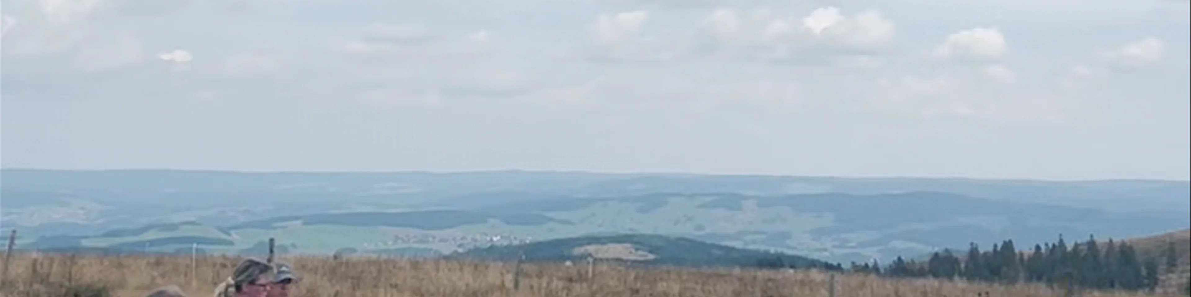 Feldbergturm