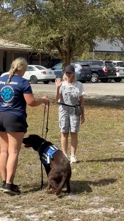 Command K9 Behavior - Personalized one on one training with trainer. - Pet Training Near Me - De Leon Springs, Florida