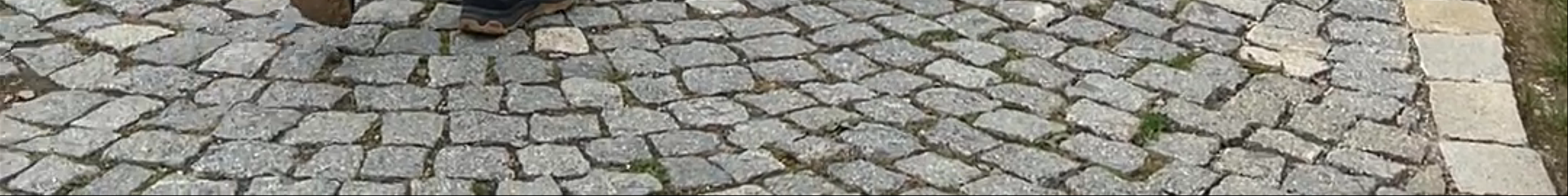 Tours & experiences in Moravský Krumlov