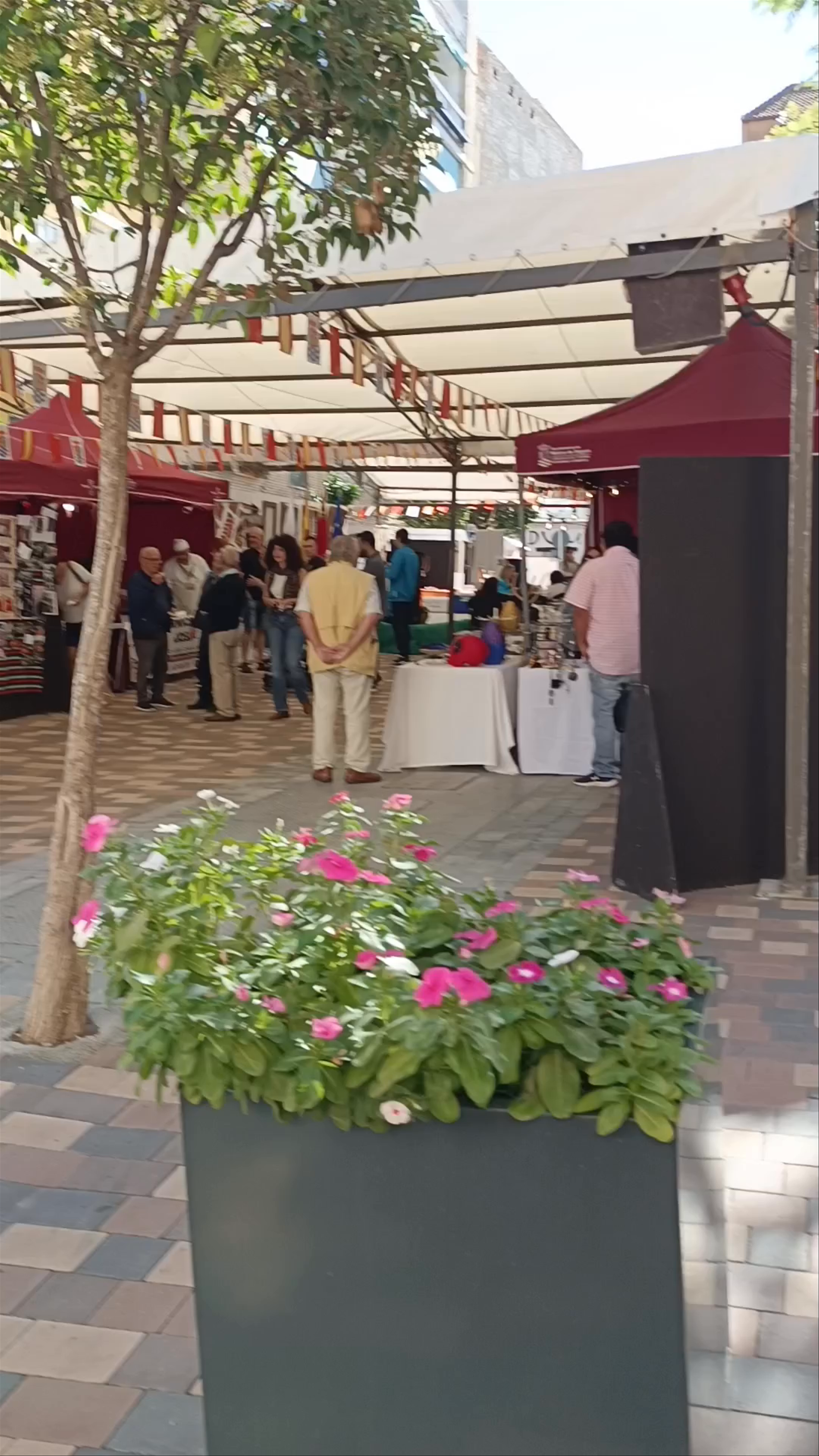 Feria de las Tradiciones: A Vibrant Local Market Experience in Molina de Segura