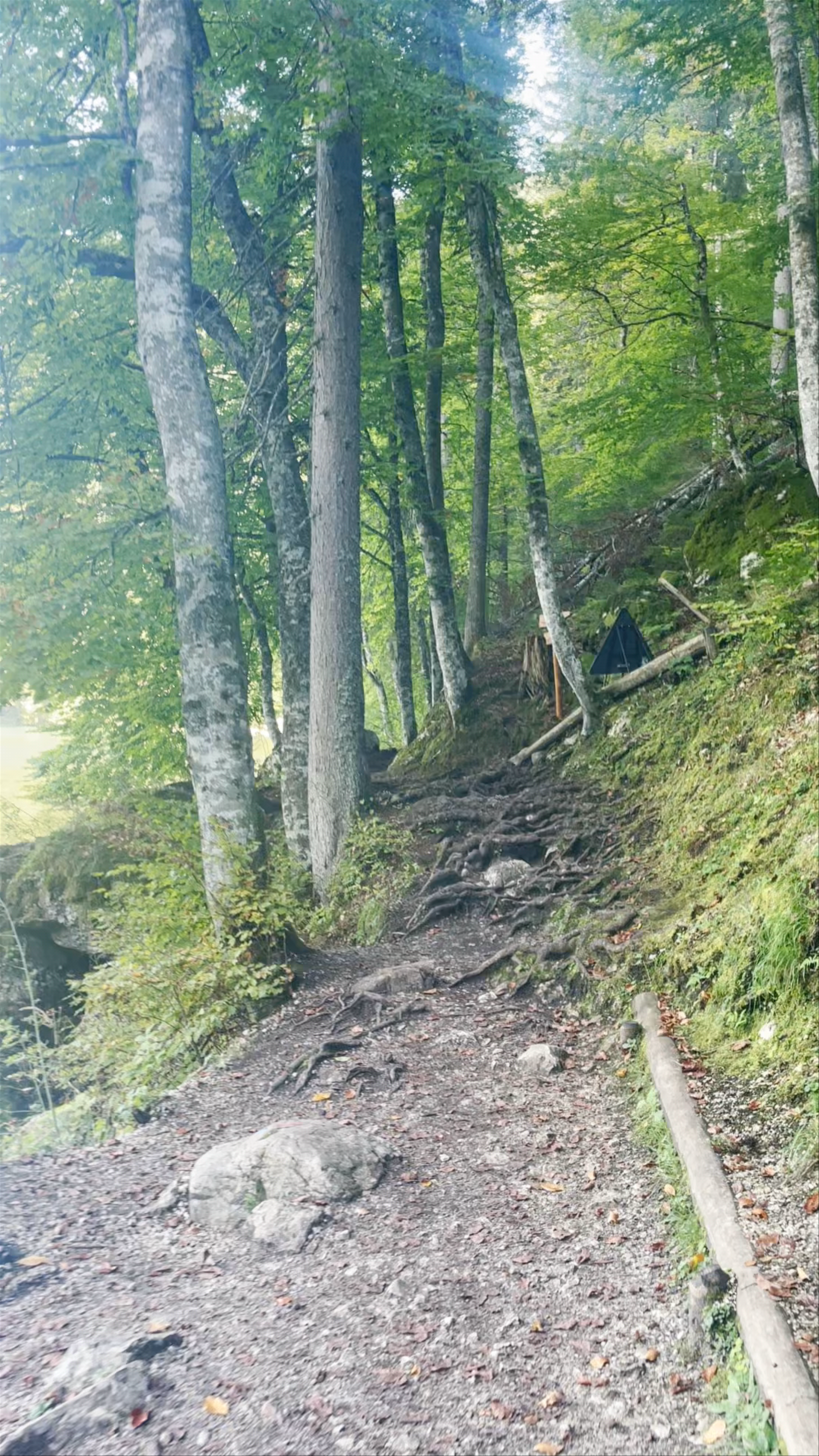 Laghi di Fusine