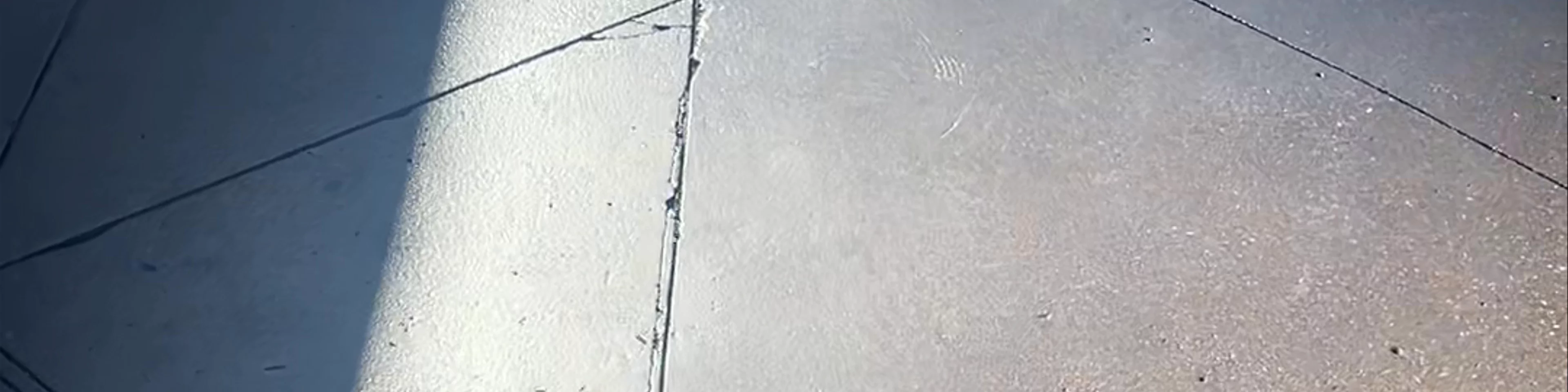 The New Las Vegas walk of stars
