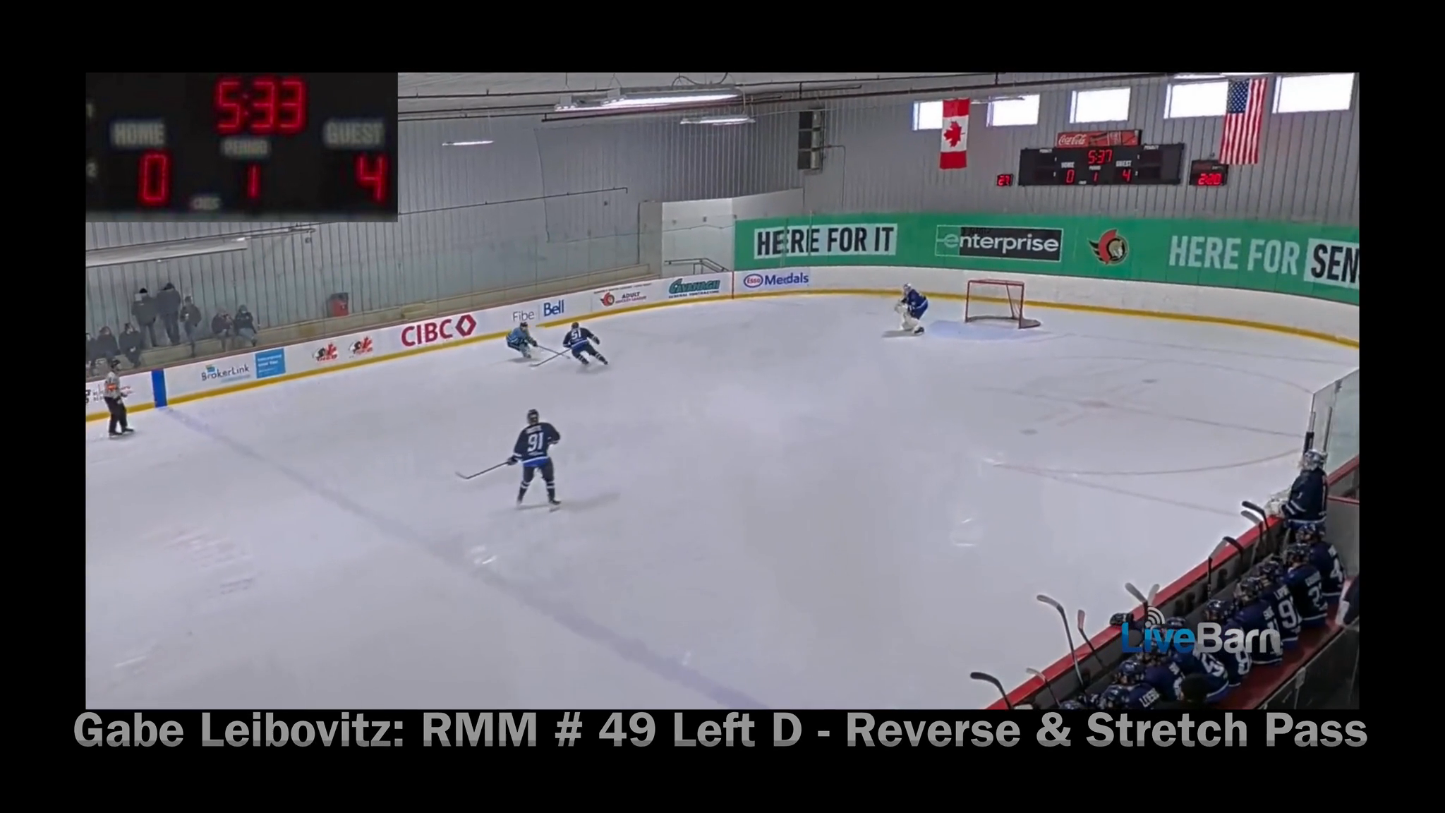 Gabe Leibovitz: Big Hits & Goals NAPHL March,2026