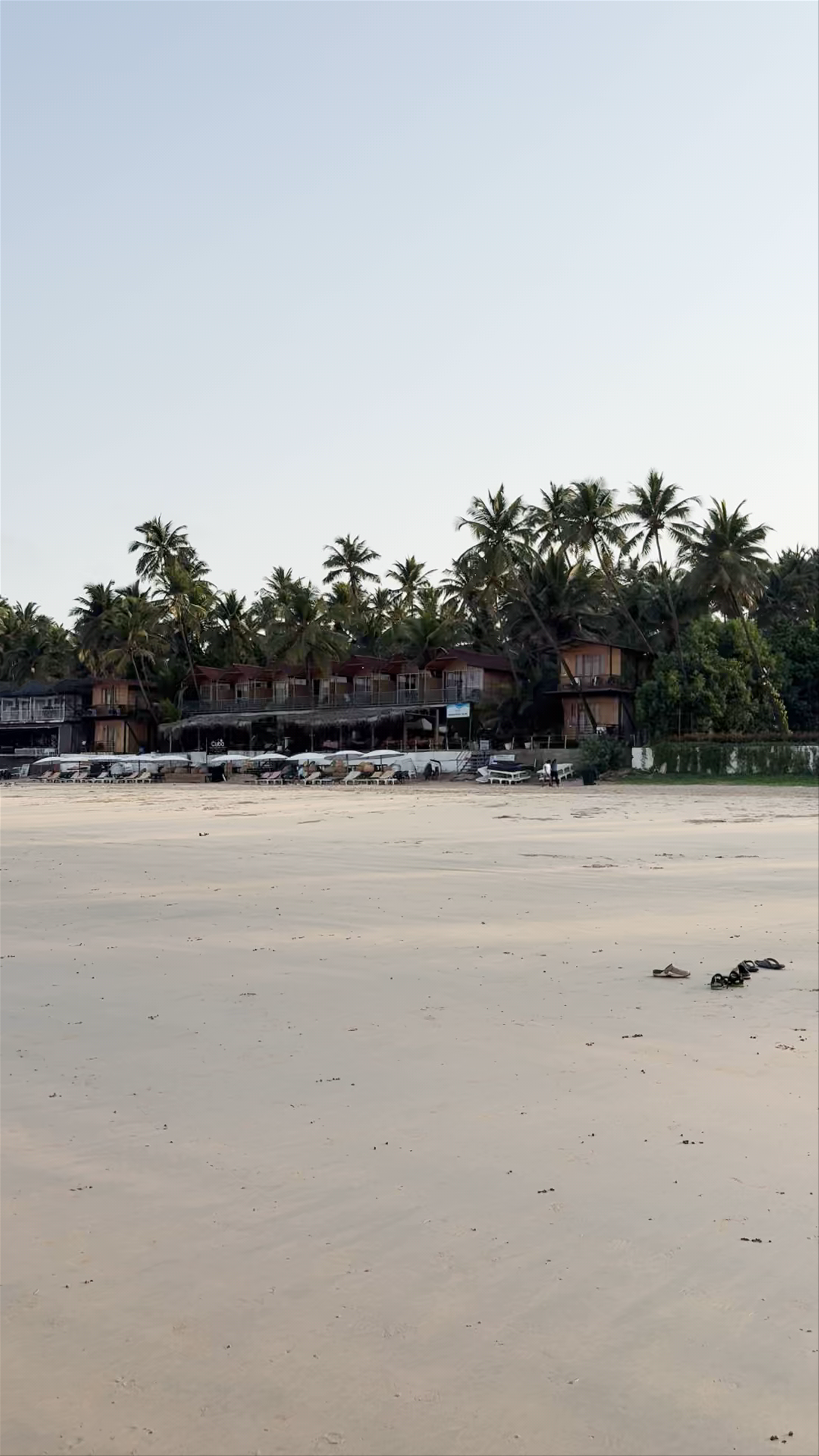 Nature’s Calm at Palolem Beach, Goa