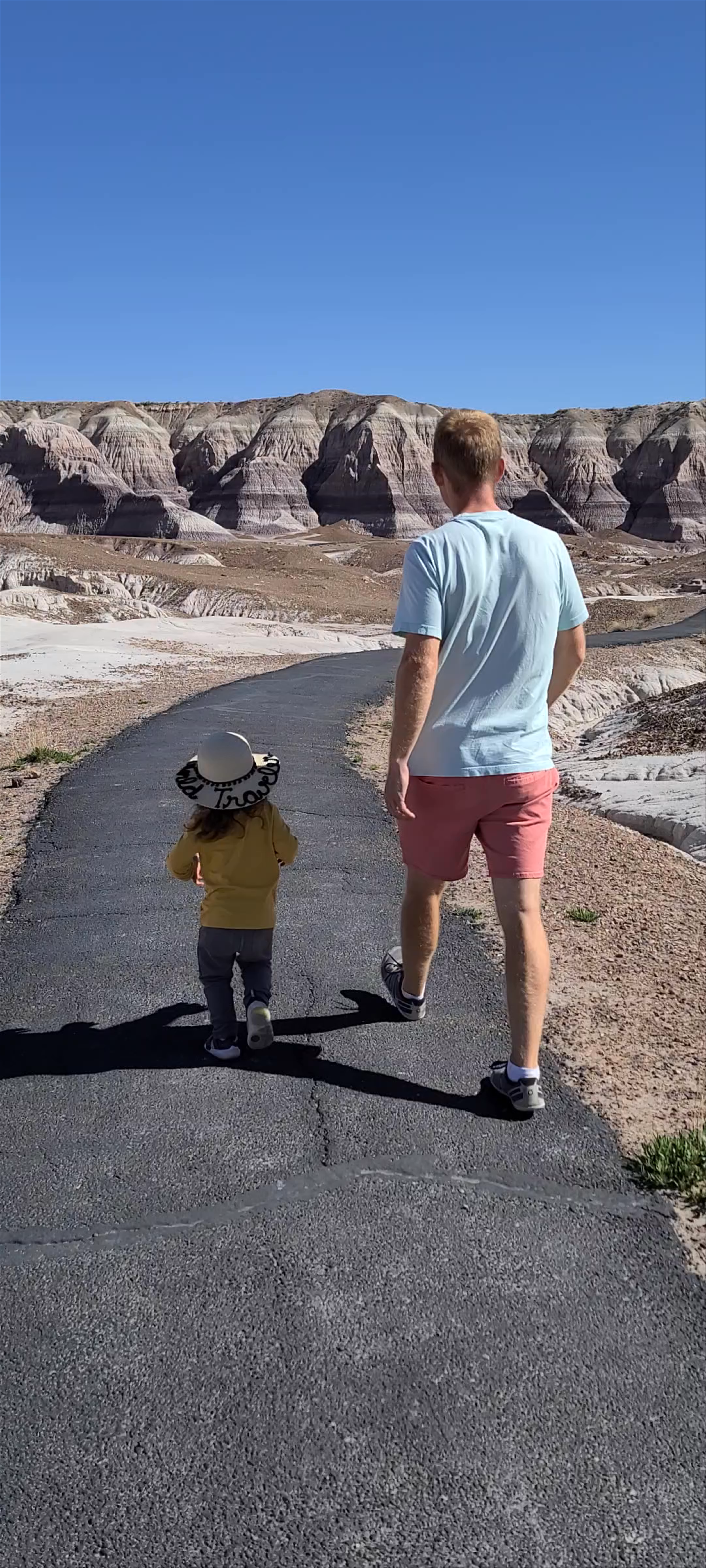 Petrified Forest National Park