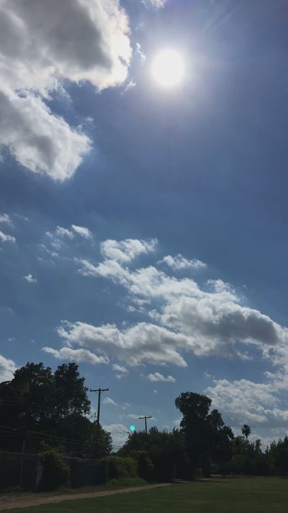 Westfield Park - Wow, couldn't be a more perfect day to be at the park :) - Parks Near Me - West Sacramento, California