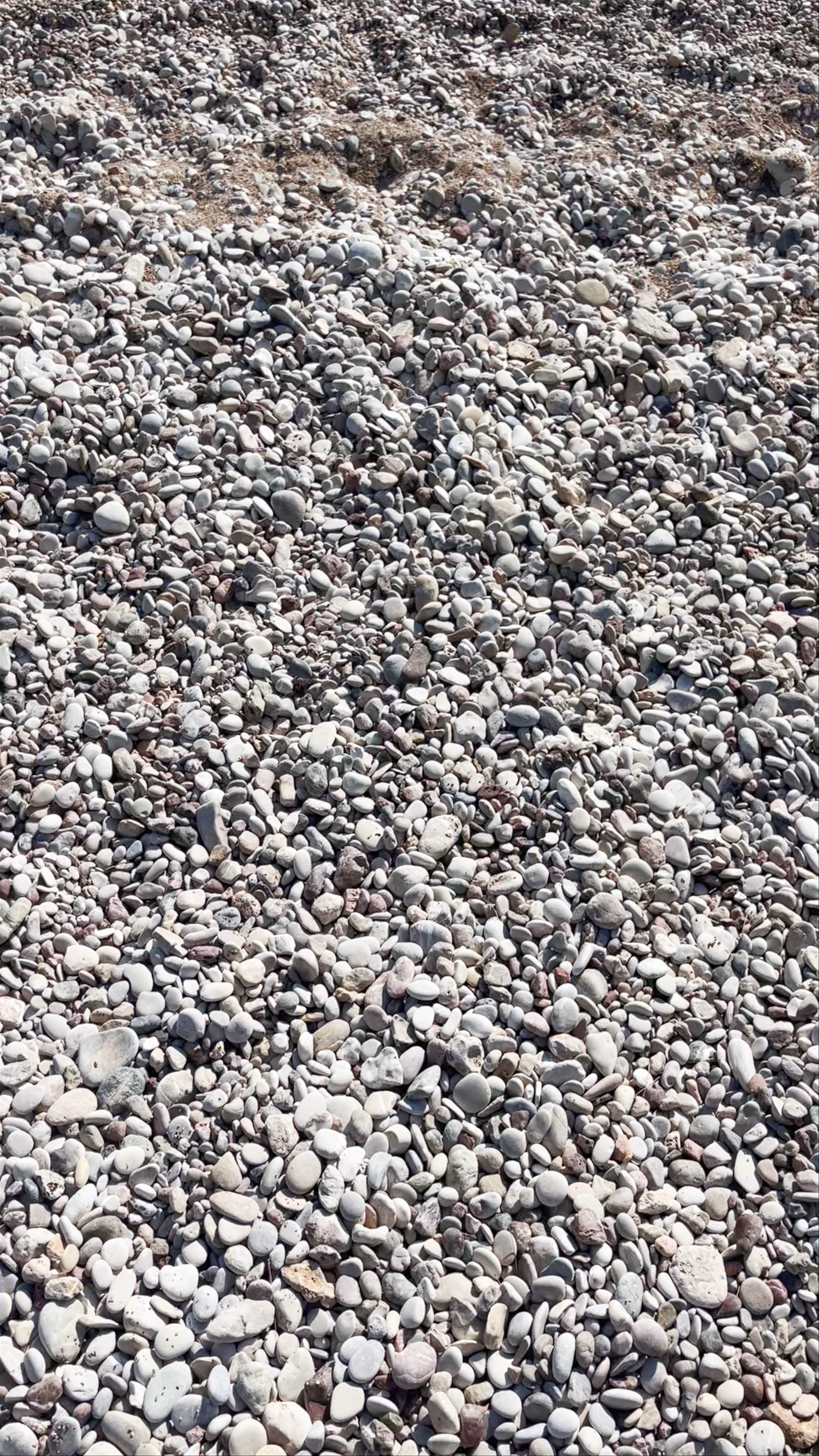 Αγία Παρασκευή