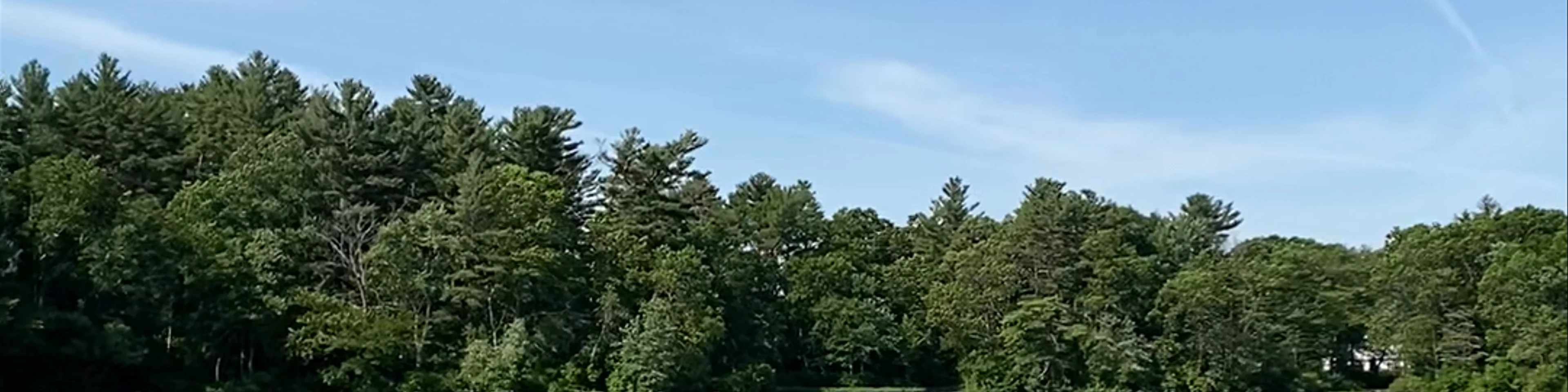 Houghton's Pond