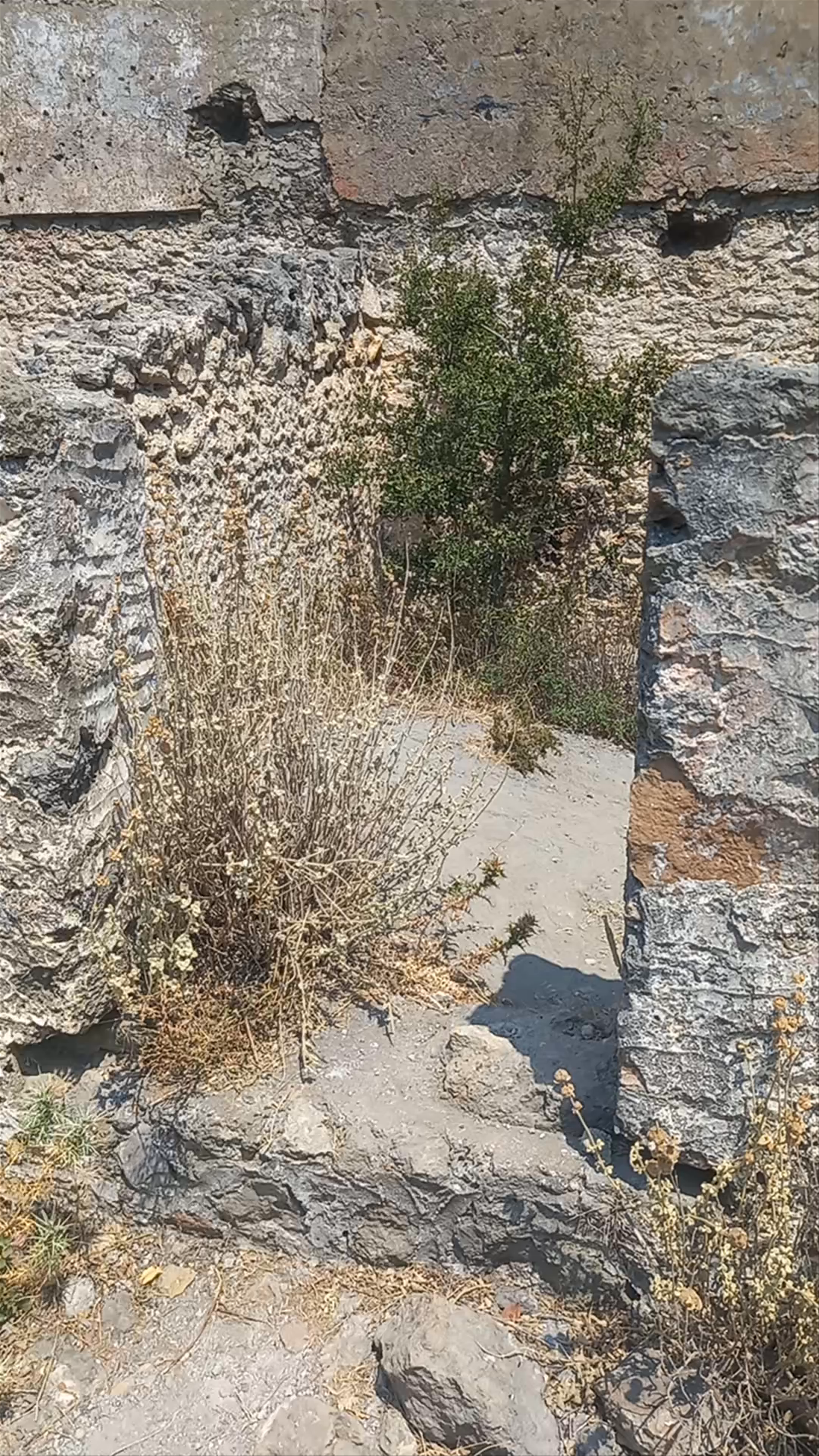 Kayaköy