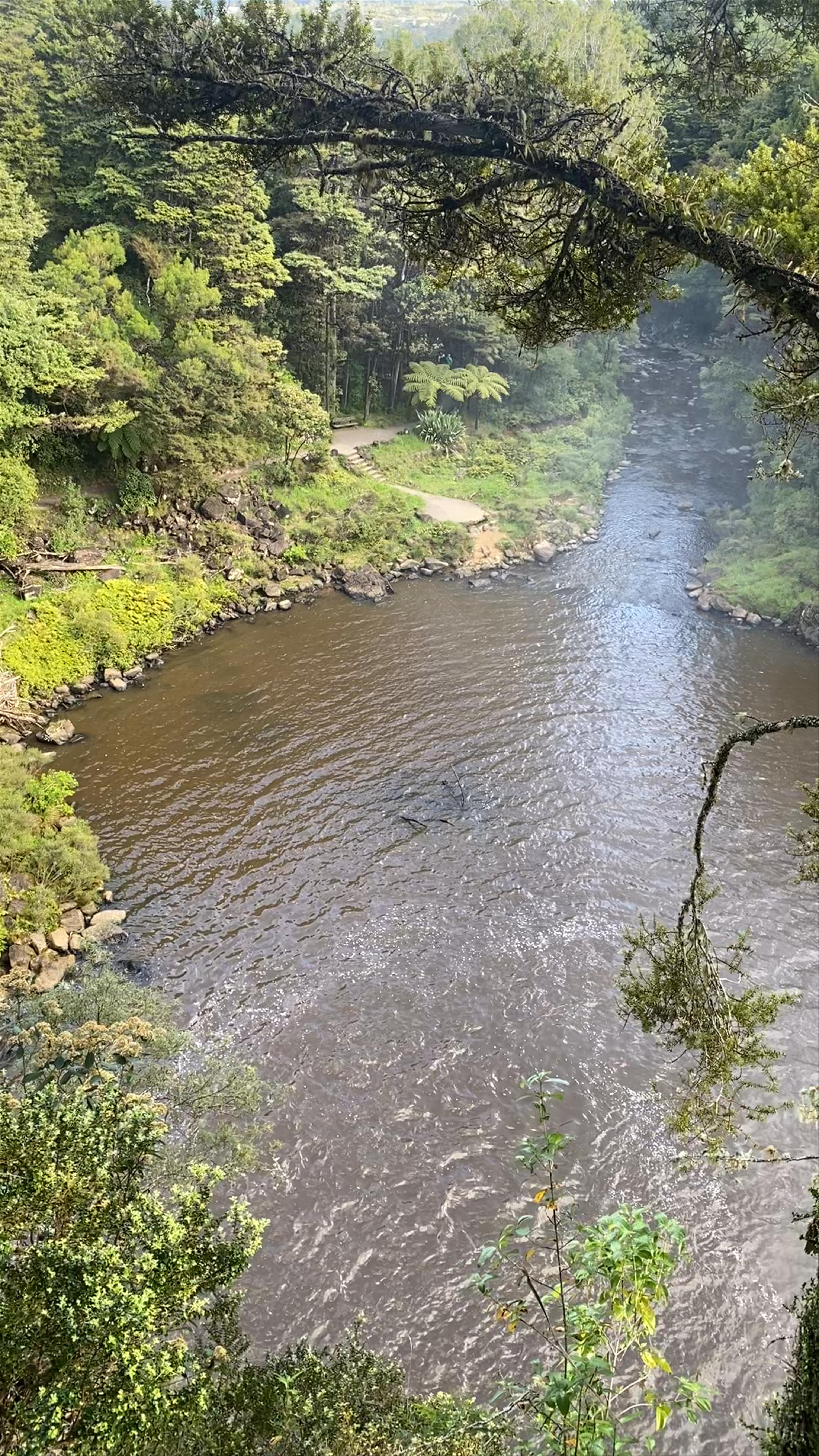 Rainbow Falls (Waianiwaniwa)