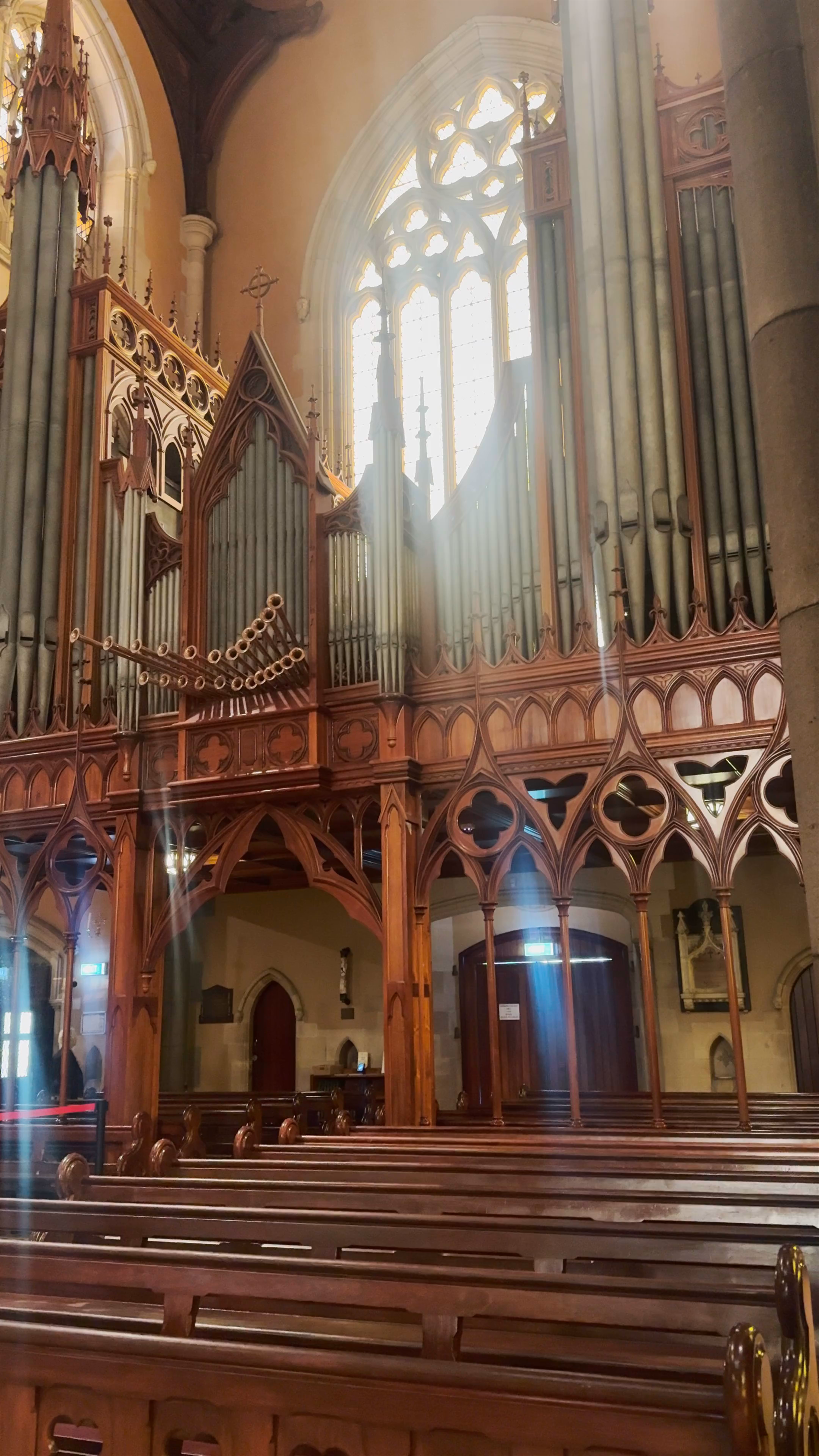 Stunning Gothic Interior of St Patrick's Cathedral, East Melbourne