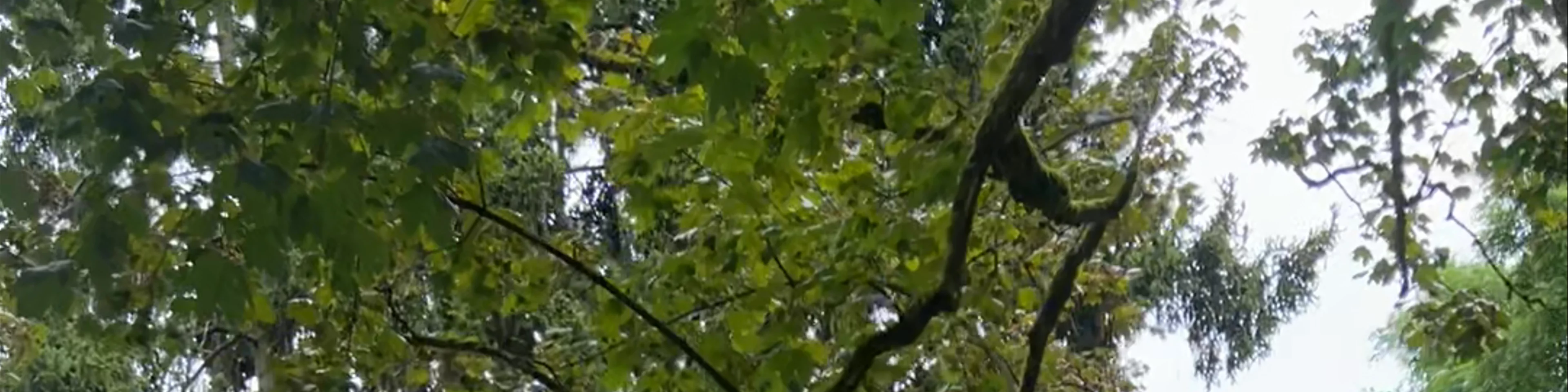 Universal Post Monument