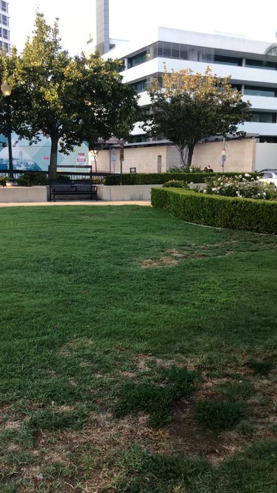 Reeves Park - Fendi getting her run before the heatwave later - Parks Near Me - Beverly Hills, California