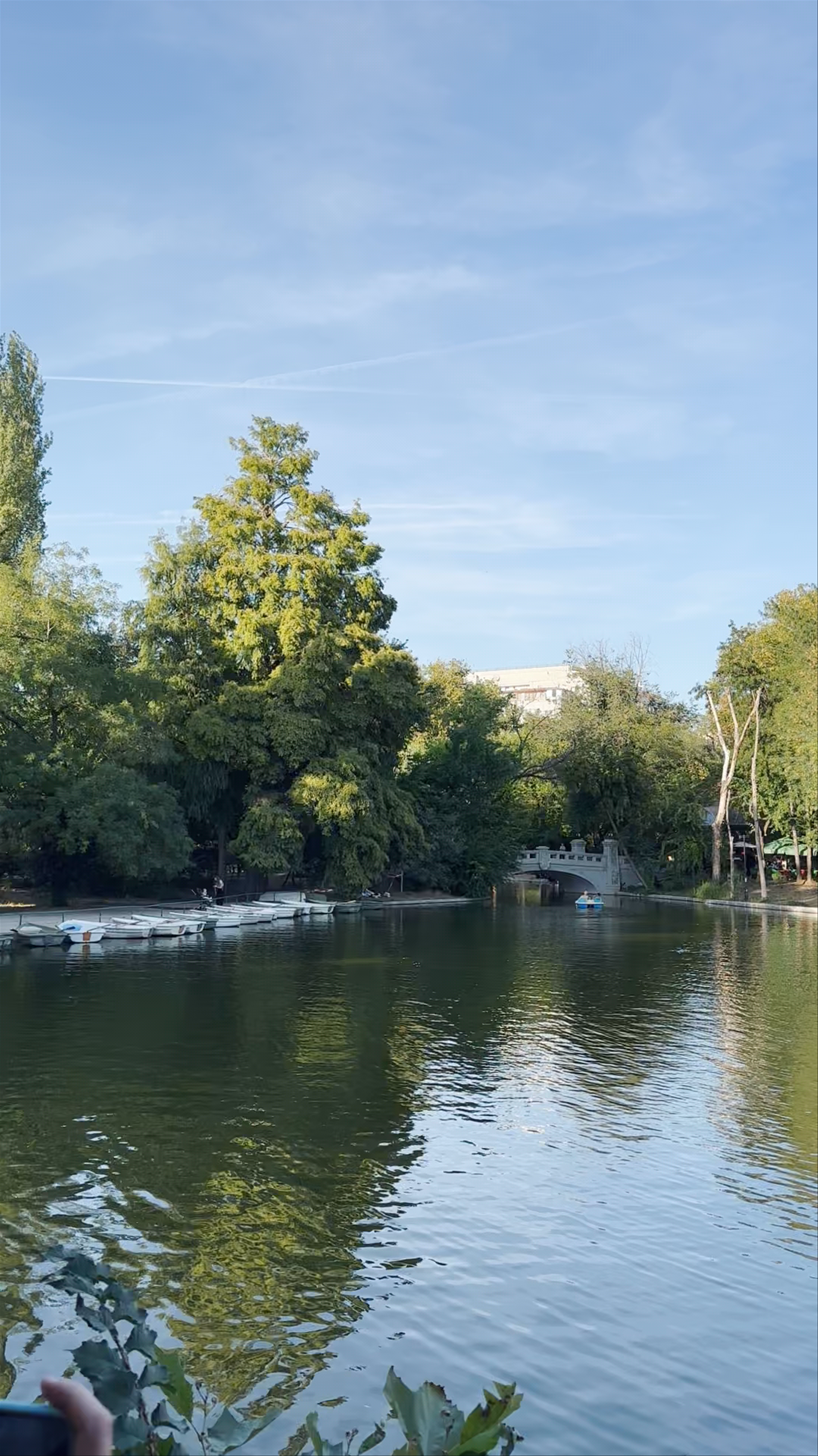 Cișmigiu Garden