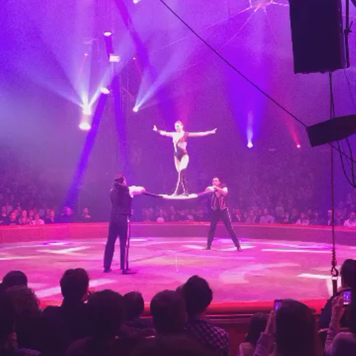 Cirque Arlette Gruss - Performing Arts Near Me - Bordeaux, 33