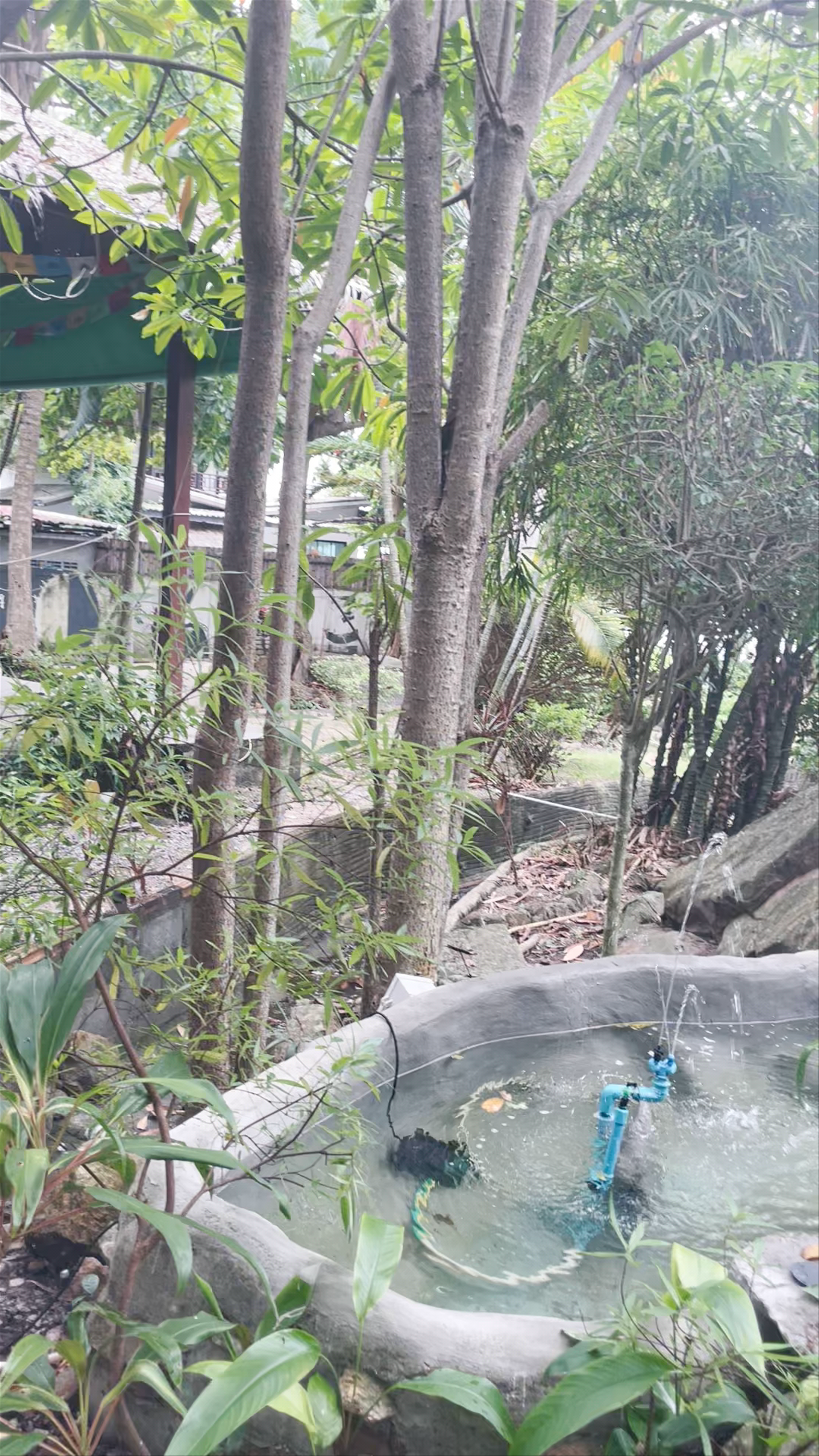 Samma Karuna: A Serene Garden Oasis on Ko Pha-ngan