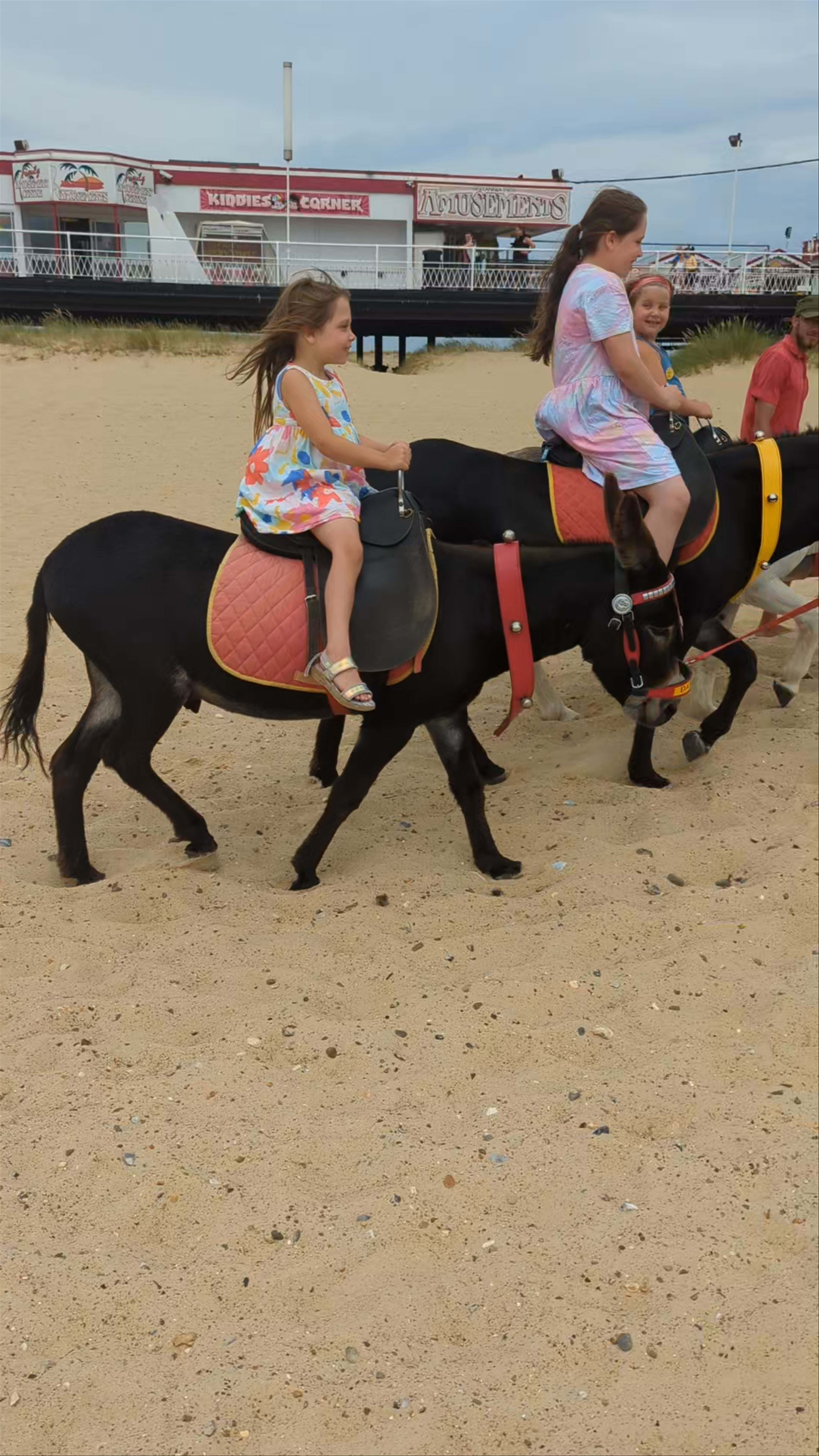 Donkey Rides at Parkers Donkey World, Great Yarmouth
