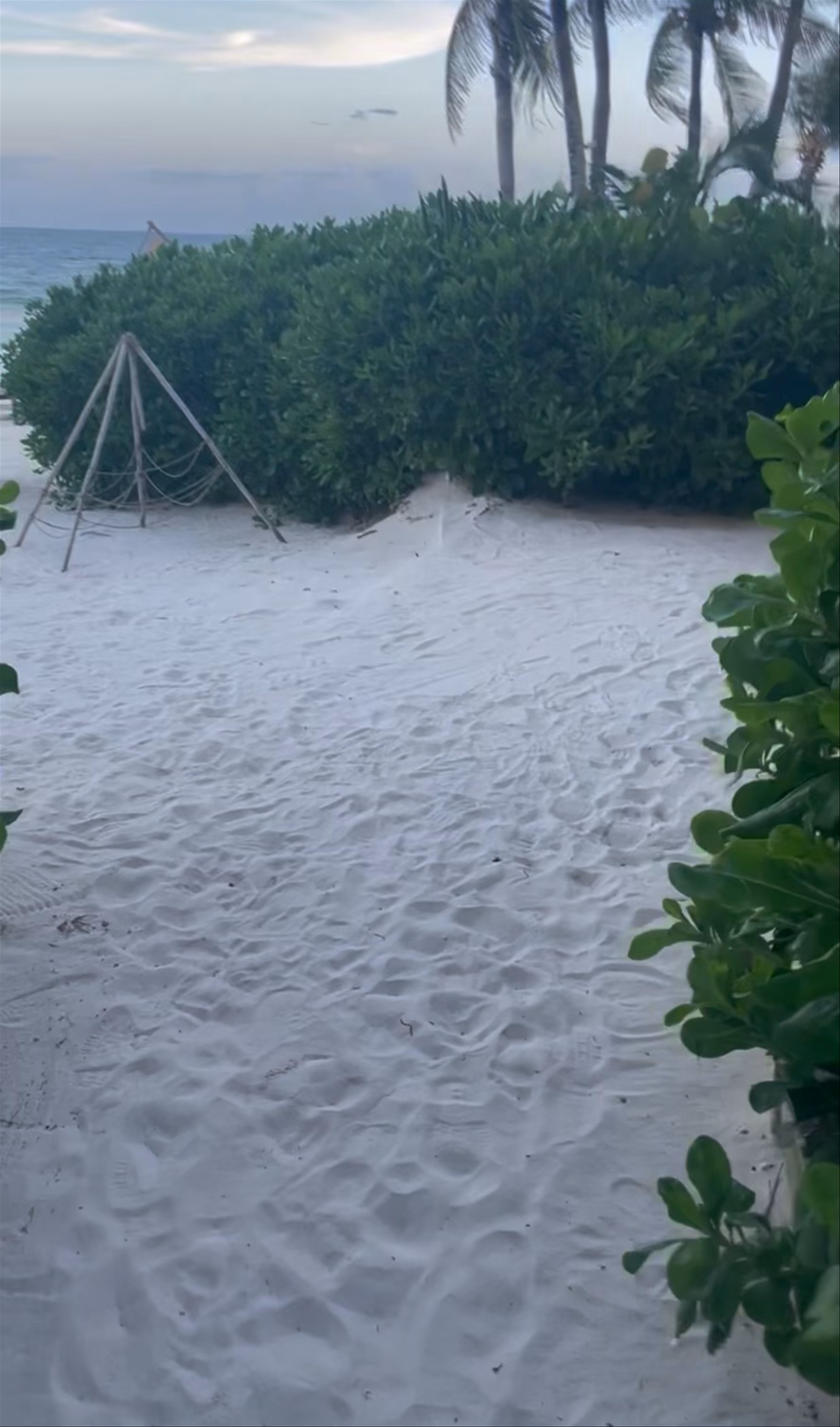 Tulum Tours