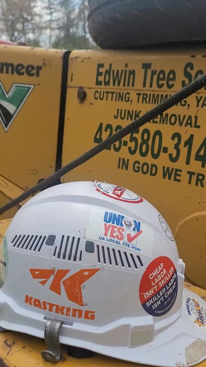 Edwin Tree's Services - Tree Services Near Me - Chattanooga, Tennessee