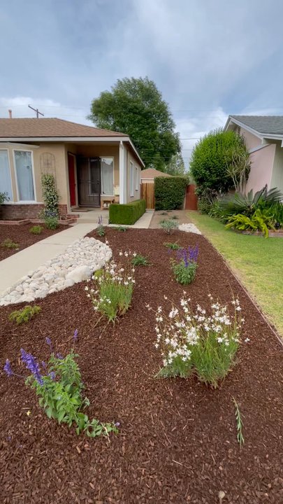 SK Landscape Design - Our front yard! More than we could have even dreamed up. I'm so excited to watch these plants grow - Gardeners Near Me - Northridge, California