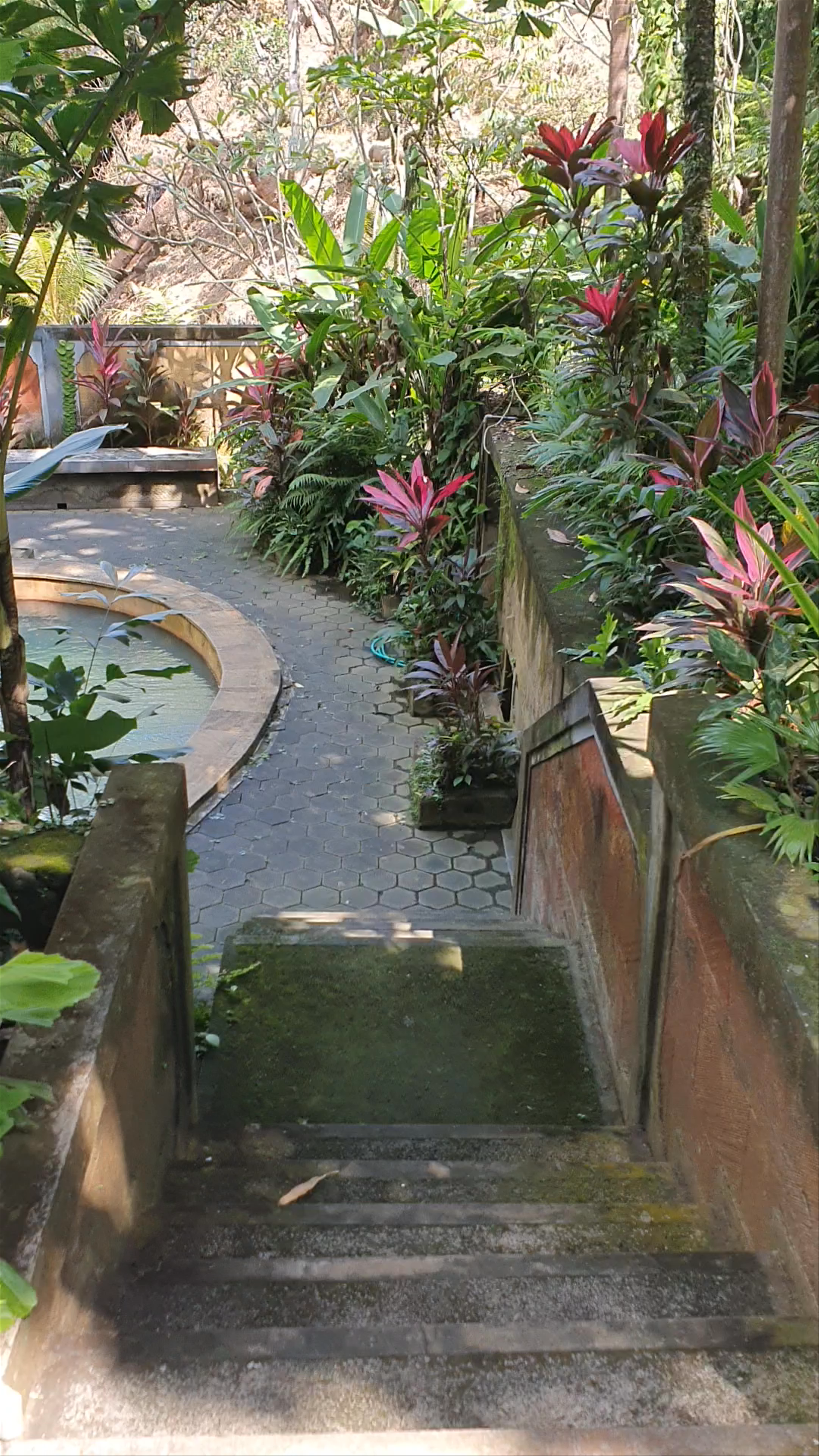 Sources d'eau chaude de Panas Banjar