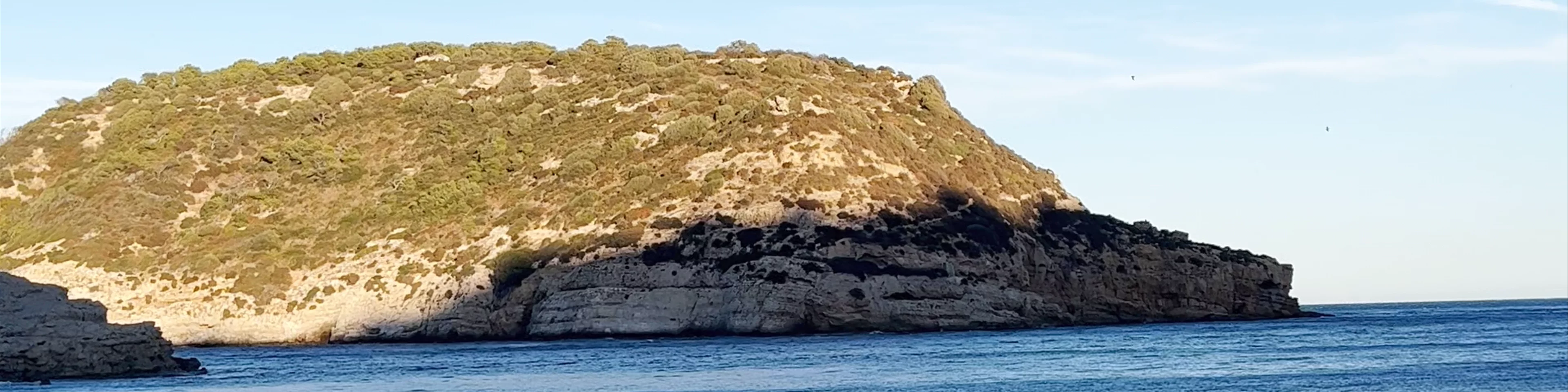 Cala del Portichol